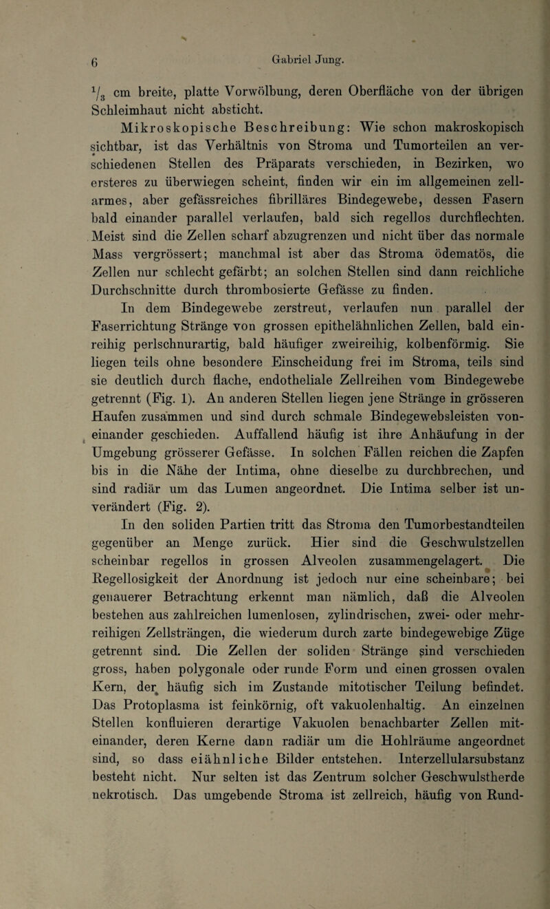 1/3 cm breite, platte Vorwölbung, deren Oberfläche von der übrigen Schleimhaut nicht absticht. Mikroskopische Beschreibung: Wie schon makroskopisch sichtbar, ist das Verhältnis von Stroma und Tumorteilen an ver- • ' schiedenen Stellen des Präparats verschieden, in Bezirken, wo ersteres zu überwiegen scheint, finden wir ein im allgemeinen zell¬ armes, aber gefässreiches fibrilläres Bindegewebe, dessen Fasern bald einander parallel verlaufen, bald sich regellos durchflechten. Meist sind die Zellen scharf abzugrenzen und nicht über das normale Mass vergrössert; manchmal ist aber das Stroma ödematös, die Zellen nur schlecht gefärbt; an solchen Stellen sind dann reichliche Durchschnitte durch thrombosierte Gefässe zu finden. In dem Bindegewebe zerstreut, verlaufen nun parallel der Faserrichtung Stränge von grossen epithelähnlichen Zellen, bald ein¬ reihig perlschnurartig, bald häufiger zweireihig, kolbenförmig. Sie liegen teils ohne besondere Einscheidung frei im Stroma, teils sind sie deutlich durch flache, endotheliale Zellreihen vom Bindegewebe getrennt (Fig. 1). An anderen Stellen liegen jene Stränge in grösseren Haufen zusammen und sind durch schmale Bindegewebsleisten von¬ einander geschieden. Auffallend häufig ist ihre Anhäufung in der Umgebung grösserer Gefässe. In solchen Fällen reichen die Zapfen bis in die Nähe der Intima, ohne dieselbe zu durchbrechen, und sind radiär um das Lumen angeordnet. Die Intima selber ist un¬ verändert (Fig. 2). In den soliden Partien tritt das Stroma den Tumorbestandteilen gegenüber an Menge zurück. Hier sind die Geschwulstzellen scheinbar regellos in grossen Alveolen zusammengelagert. Die Regellosigkeit der Anordnung ist jedoch nur eine scheinbare; bei genauerer Betrachtung erkennt man nämlich, daß die Alveolen bestehen aus zahlreichen lumenlosen, zylindrischen, zwei- oder mehr¬ reihigen Zellsträngen, die wiederum durch zarte bindegewebige Züge getrennt sind. Die Zellen der soliden Stränge sind verschieden gross, haben polygonale oder runde Form und einen grossen ovalen Kern, der häufig sich im Zustande mitotischer Teilung befindet. Das Protoplasma ist feinkörnig, oft vakuolenhaltig. An einzelnen Stellen konfluieren derartige Vakuolen benachbarter Zellen mit¬ einander, deren Kerne dann radiär um die Hohlräume angeordnet sind, so dass eiähnliche Bilder entstehen. Interzellularsubstanz besteht nicht. Nur selten ist das Zentrum solcher Geschwulstherde nekrotisch. Das umgebende Stroma ist zellreich, häufig von Rund-