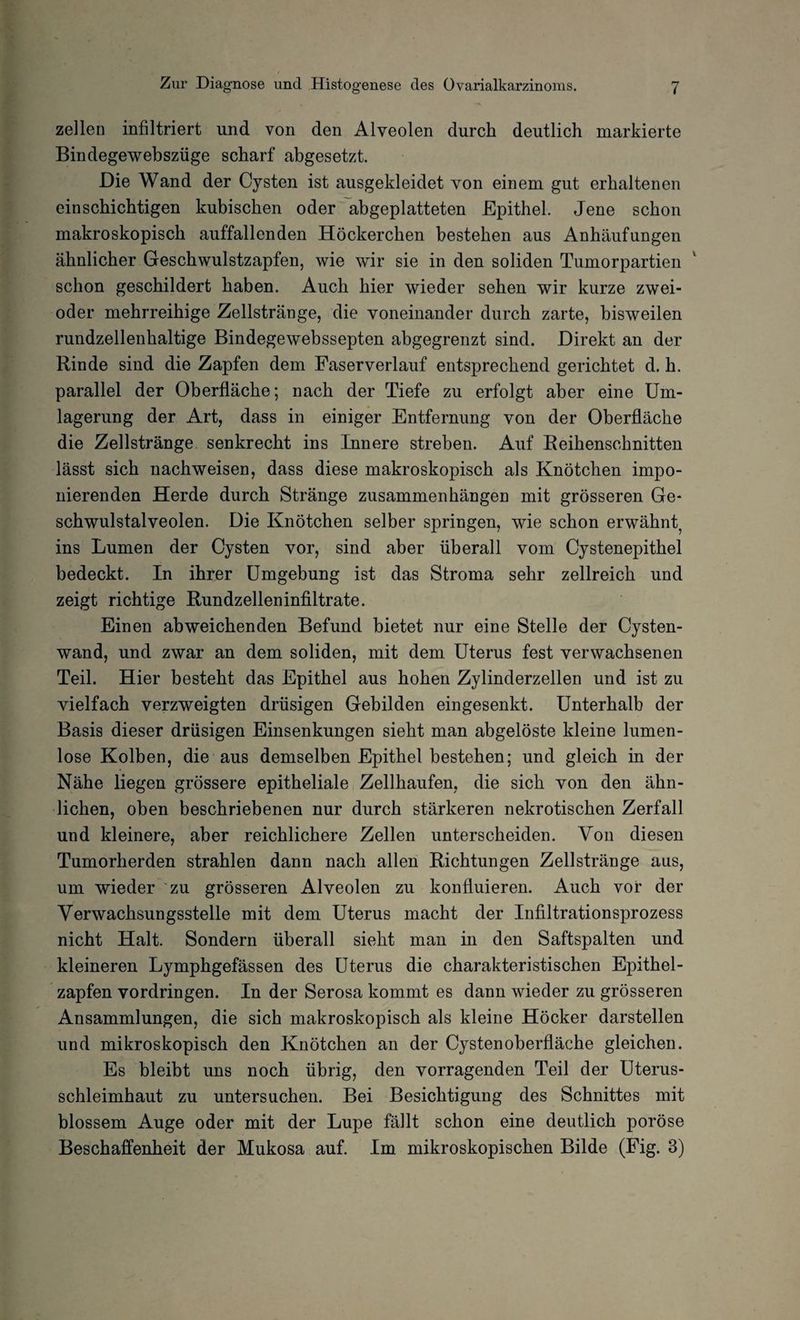 zellen infiltriert und von den Alveolen durch deutlich markierte Bindegewebszüge scharf abgesetzt. Die Wand der Cysten ist ausgekleidet von einem gut erhaltenen einschichtigen kubischen oder abgeplatteten Epithel. Jene schon makroskopisch auffallenden Höckerchen bestehen aus Anhäufungen ähnlicher Geschwulstzapfen, wie wir sie in den soliden Tumorpartien schon geschildert haben. Auch hier wieder sehen wir kurze zwei- oder mehrreihige Zellstränge, die voneinander durch zarte, bisweilen rundzellenhaltige Bindegewebssepten abgegrenzt sind. Direkt an der Rinde sind die Zapfen dem Faserverlauf entsprechend gerichtet d. h. parallel der Oberfläche; nach der Tiefe zu erfolgt aber eine Um¬ lagerung der Art, dass in einiger Entfernung von der Oberfläche die Zellstränge senkrecht ins Innere streben. Auf Reihenschnitten lässt sich nachweisen, dass diese makroskopisch als Knötchen impo¬ nierenden Herde durch Stränge Zusammenhängen mit grösseren Ge¬ schwulstalveolen. Die Knötchen selber springen, wie schon erwähnt7 ins Lumen der Cysten vor, sind aber überall vom Cystenepithel bedeckt. In ihrer Umgebung ist das Stroma sehr zellreich und zeigt richtige Rundzelleninfiltrate. Einen abweichenden Befund bietet nur eine Stelle der Cysten¬ wand, und zwar an dem soliden, mit dem Uterus fest verwachsenen Teil. Hier besteht das Epithel aus hohen Zylinderzellen und ist zu vielfach verzweigten drüsigen Gebilden eingesenkt. Unterhalb der Basis dieser drüsigen Einsenkungen sieht man abgelöste kleine lumen¬ lose Kolben, die aus demselben Epithel bestehen; und gleich in der Nähe liegen grössere epitheliale Zellhaufen, die sich von den ähn¬ lichen, oben beschriebenen nur durch stärkeren nekrotischen Zerfall und kleinere, aber reichlichere Zellen unterscheiden. Von diesen Tumorherden strahlen dann nach allen Richtungen Zellstränge aus, um wieder zu grösseren Alveolen zu konfluieren. Auch vor der Verwachsungsstelle mit dem Uterus macht der Infiltrationsprozess nicht Halt. Sondern überall sieht man in den Saftspalten und kleineren Lymphgefässen des Uterus die charakteristischen Epithel¬ zapfen Vordringen. In der Serosa kommt es dann wieder zu grösseren Ansammlungen, die sich makroskopisch als kleine Höcker darstellen und mikroskopisch den Knötchen an der Cysten Oberfläche gleichen. Es bleibt uns noch übrig, den vorragenden Teil der Uterus¬ schleimhaut zu untersuchen. Bei Besichtigung des Schnittes mit blossem Auge oder mit der Lupe fällt schon eine deutlich poröse Beschaffenheit der Mukosa auf. Im mikroskopischen Bilde (Fig. 3)