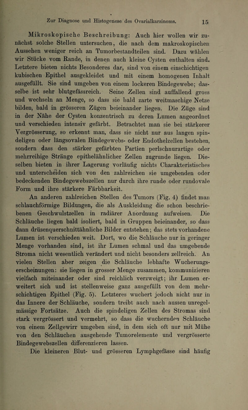 Mikroskopische Beschreibung: Auch hier wollen wir zu¬ nächst solche Stellen untersuchen, die nach dem makroskopischen Aussehen weniger reich an Tumorbestandteilen sind. Dazu wählen wir Stücke vom Bande, in denen auch kleine Cysten enthalten sind. Letztere bieten nichts Besonderes dar, sind yon einem einschichtigen kubischen Epithel ausgekleidet und mit einem homogenen Inhalt ausgefüllt. Sie sind umgehen von einem lockeren Bindegewebe; das¬ selbe ist sehr blutgefässreich. Seine Zellen sind auffallend gross und wechseln an Menge, so dass sie bald zarte weitmaschige Netze bilden, bald in grösseren Zügen beieinander liegen. Die Züge sind in der Nähe der Cysten konzentrisch zu deren Lumen angeordnet und verschieden intensiv gefärbt. Betrachtet man sie bei stärkerer Vergrösserung, so erkennt man, dass sie nicht nur aus langen spin- deligen oder längsovalen Bindegewebs- oder Endothelzellen bestehen, sondern dass den stärker gefärbten Partien perlschnurartige oder mehrreihige Stränge epithelähnlicher Zellen zugrunde liegen. Die¬ selben bieten in ihrer Lagerung vorläufig nichts Charakteristisches und unterscheiden sich von den zahlreichen sie umgebenden oder bedeckenden Bindegewebszellen nur durch ihre runde oder rundovale Form und ihre stärkere Färbbarkeit. An anderen zahlreichen Stellen des Tumors (Fig. 4) findet man schlauchförmige Bildungen, die als Auskleidung die schon beschrie¬ benen Geschwulstzellen in radiärer Anordnung aufweisen. Die Schläuche liegen bald isoliert, bald in Gruppen beieinander, so dass dann drüsenquerschnittähnliche Bilder entstehen; das stets vorhandene Lumen ist verschieden weit. Dort, wo die Schläuche nur in geringer Menge vorhanden sind, ist ihr Lumen schmal und das umgebende Stroma nicht wesentlich verändert und nicht besonders zellreich. An vielen Stellen aber zeigen die Schläuche lebhafte Wucherungs¬ erscheinungen: sie liegen in grosser Menge zusammen, kommunizieren vielfach miteinander oder sind reichlich verzweigt; ihr Lumen er¬ weitert sich und ist stellenweise ganz ausgefüllt von dem mehr¬ schichtigen Epithel (Fig. 5). Letzteres wuchert jedoch nicht nur in das Innere der Schläuche, sondern treibt auch nach aussen unregel¬ mässige Fortsätze. Auch die spindeligen Zellen des Stromas sind stark vergrössert und vermehrt, so dass die wuchernden Schläuche von einem Zellgewirr umgeben sind, in dem sich oft nur mit Mühe von den Schläuchen ausgehende Tumorelemente und vergrösserte Bindegewebszellen differenzieren lassen. Die kleineren Blut- und grösseren Lymphgefässe sind häufig