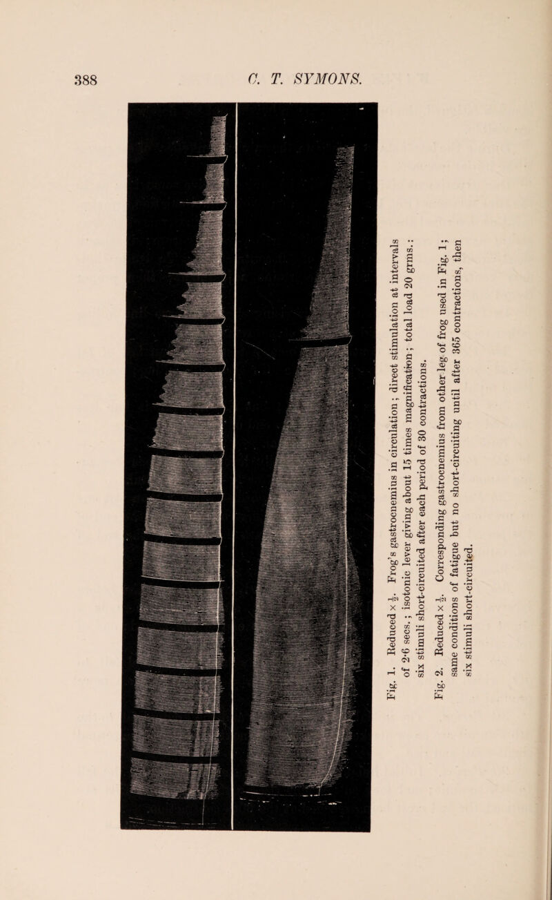 co •• r— 1 • cc j co > ; a +3 W a • r- ! o -4-= 03 C c i c3 : ® • r-< i ' r-H ! C3 1 (— ' o £ ! Hi • rH i i • cc ! fl 1 .2 c 1 43 ce • pH 55 «a • pH • - a a .2 00 1 s -t-= fa c3 r-H U2 a o> o s 5- • pH V >H • pH a • ph »o i—1 CO 2 a •pH o a HH o> o3 a 60 « o a t> •4J • iH CD 60 W5 S co > w> ® o S-l O • pH a o • -u HN O X CO • pH i • rv <v • o CO 1 a o H3 <X> o> CO P3 O ' • C4H , r—i O 60 •rH six stimuli short-circuited after each period of 30 contractions. Fig. 2. Reduced x Corresponding gastrocnemius from other leg of frog used in Fig. 1; same conditions of fatigue but no short-circuiting until after 365 contractions, then six stimuli short-circuited.