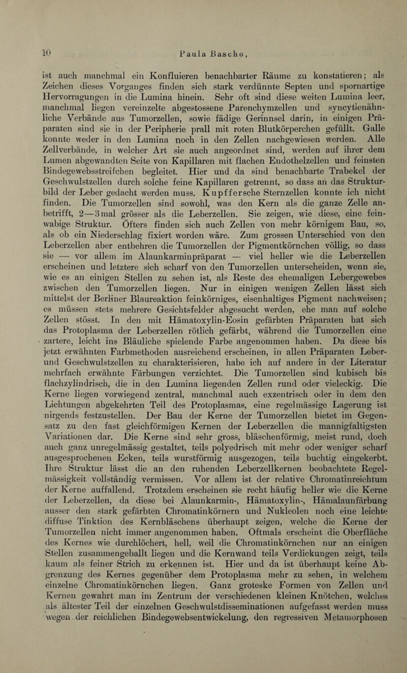 ist auch manchmal ein Konfluieren benachbarter Räume zu konstatieren; als Zeichen dieses Vorganges finden sich stark verdünnte Septen und spornartige Hervorragungen in die Lumina hinein. Sehr oft sind diese weiten Lumina leer, manchmal liegen vereinzelte abgestossene Parenchymzellen und syncytienähn- liche Verbände aus Tumorzellen, sowie fädige Gerinnsel darin, in einigen Prä¬ paraten sind sie in der Peripherie prall mit roten Blutkörperchen gefüllt. Galle konnte weder in den Lumina noch in den Zellen nachgewiesen werden. Alle Zellverbände, in welcher Art sie auch angeordnet sind, werden auf ihrer dem Lumen abgewandten Seite von Kapillaren mit flachen Endothelzellen und feinsten Bindegewebsstreifchen begleitet. Hier und da sind benachbarte Trabekel der Geschwulstzellen durch solche feine Kapillaren getrennt, so dass an das Struktur¬ bild der Leber gedacht werden muss. Kupffersche Sternzellen konnte ich nicht finden. Die Tumorzellen sind sowohl, was den Kern als die ganze Zelle an¬ betrifft, 2—3 mal grösser als die Leberzellen. Sie zeigen, wie diese, eine fein- wabige Struktur. Öfters finden sich auch Zellen von mehr körnigem Bau, so, als ob ein Niederschlag fixiert worden wäre. Zum grossen Unterschied von den Leberzellen aber entbehren die Tumorzellen der Pigmentkörnchen völlig, so dass sie — vor allem im Alaunkarminpräparat — viel heller wie die Leberzellen erscheinen und letztere sich scharf von den Tumorzellen unterscheiden, wenn sie, wie es an einigen Stellen zu sehen ist, als Reste des ehemaligen Lebergewebes zwischen den Tumorzellen liegen. Nur in einigen wenigen Zellen lässt sich mittelst der Berliner Blaureaktion feinkörniges, eisenhaltiges Pigment nach weisen; es müssen stets mehrere Gesichtsfelder abgesucht werden, ehe man auf solche Zellen stösst. In den mit Hämatoxylin-Eosin gefärbten Präparaten hat sich das Protoplasma der Leberzellen rötlich gefärbt, während die Tumorzellen eine zartere, leicht ins Bläuliche spielende Farbe angenommen haben. Da diese bis jetzt erwähnten Farbmethoden ausreichend erscheinen, in allen Präparaten Leber¬ und Geschwulstzellen zu charakterisieren, habe ich auf andere in der Literatur mehrfach erwähnte Färbungen verzichtet. Die Tumorzellen sind kubisch bis flachzylindrisch, die in den Lumina liegenden Zellen rund oder vieleckig. Die Kerne liegen vorwiegend zentral, manchmal auch exzentrisch oder in dem den Lichtungen abgekehrten Teil des Protoplasmas, eine regelmässige Lagerung ist nirgends festzustellen. Der Bau der Kerne der Tumorzellen bietet im Gegen¬ satz zu den fast gleichförmigen Kernen der Leberzellen die mannigfaltigsten Variationen dar. Die Kerne sind sehr gross, bläschenförmig, meist rund, doch auch ganz unregelmässig gestaltet, teils polyedrisch mit mehr oder weniger scharf ausgesprochenen Ecken, teils wurstförmig ausgezogen, teils buchtig eingekerbt. Ihre Struktur lässt die an den ruhenden Leberzellkernen beobachtete Regel¬ mässigkeit vollständig vermissen. Vor allem ist der relative Chromatinreichtum der Kerne auffallend. Trotzdem erscheinen sie recht häufig heller wie die Kerne der Leberzellen, da diese bei Alaunkarmin-, Hämatoxylin-, Hämalaunfärbung ausser den stark gefärbten Chromatinkörnern und Nukleolen noch eine leichte diffuse Tinktion des Kernbläschens überhaupt zeigen, welche die Kerne der Tumorzellen nicht immer angenommen haben. Oftmals erscheint die Oberfläche des Kernes wie durchlöchert, hell, weil die Chromatinkörnchen nur an einigen Stellen zusammengeballt liegen und die Kern wand teils Verdickungen zeigt, teils kaum als feiner Strich zu erkennen ist. Hier und da ist überhaupt keine Ab¬ grenzung des Kernes gegenüber dem Protoplasma mehr zu sehen, in welchem einzelne Chromatinkörnchen liegen. Ganz groteske Formen von Zellen und Kernen gewahrt man im Zentrum der verschiedenen kleinen Knötchen, welches als ältester Teil der einzelnen Geschwulstdisseminationen aufgefasst werden muss wegen der reichlichen BindegewebsentWickelung, den regressiven Metamorphosen