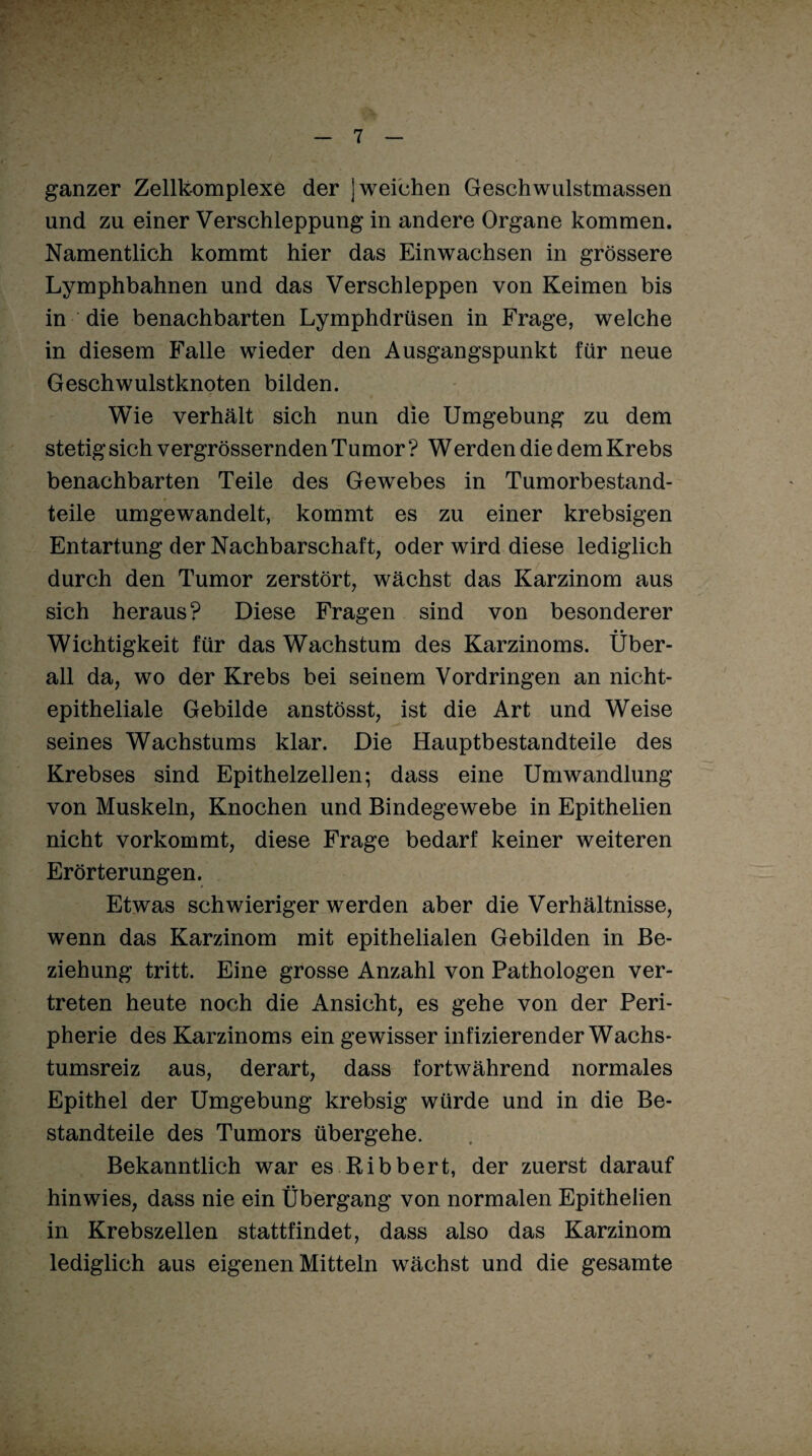 ganzer Zellkomplexe der J weichen Geschwulstmassen und zu einer Verschleppung in andere Organe kommen. Namentlich kommt hier das Einwachsen in grössere Lymphbahnen und das Verschleppen von Keimen bis in die benachbarten Lymphdrüsen in Frage, welche in diesem Falle wieder den Ausgangspunkt für neue Geschwulstknoten bilden. Wie verhält sich nun die Umgebung zu dem stetig sich vergrössernden Tumor ? Werden die dem Krebs benachbarten Teile des Gewebes in Tumorbestand¬ teile umgewandelt, kommt es zu einer krebsigen Entartung der Nachbarschaft, oder wird diese lediglich durch den Tumor zerstört, wächst das Karzinom aus sich heraus? Diese Fragen sind von besonderer • • Wichtigkeit für das Wachstum des Karzinoms. Über¬ all da, wo der Krebs bei seinem Vordringen an nicht¬ epitheliale Gebilde anstösst, ist die Art und Weise seines Wachstums klar. Die Hauptbestandteile des Krebses sind Epithelzellen; dass eine Umwandlung von Muskeln, Knochen und Bindegewebe in Epithelien nicht vorkommt, diese Frage bedarf keiner weiteren Erörterungen. Etwas schwieriger werden aber die Verhältnisse, wenn das Karzinom mit epithelialen Gebilden in Be¬ ziehung tritt. Eine grosse Anzahl von Pathologen ver¬ treten heute noch die Ansicht, es gehe von der Peri¬ pherie des Karzinoms ein gewisser infizierender Wachs¬ tumsreiz aus, derart, dass fortwährend normales Epithel der Umgebung krebsig würde und in die Be¬ standteile des Tumors übergehe. Bekanntlich war es Ribbert, der zuerst darauf hinwies, dass nie ein Übergang von normalen Epithelien in Krebszellen stattfindet, dass also das Karzinom lediglich aus eigenen Mitteln wächst und die gesamte