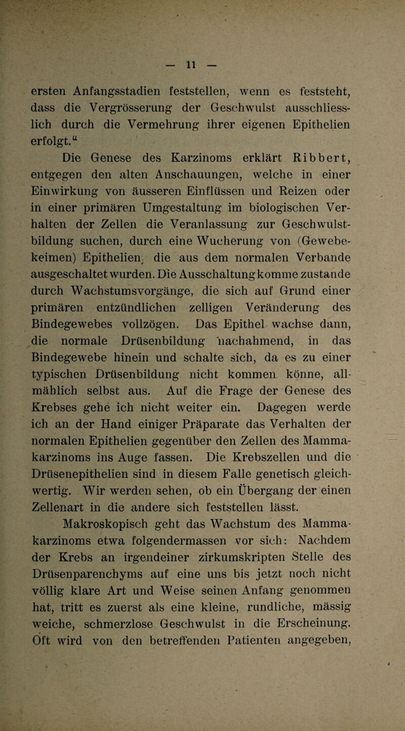 ersten Anfangsstadien feststellen, wenn es feststeht, dass die Vergrösserung der Geschwulst ausschliess¬ lich durch die Vermehrung ihrer eigenen Epithelien erfolgt.“ Die Genese des Karzinoms erklärt Ribbert, entgegen den alten Anschauungen, welche in einer Einwirkung von äusseren Einflüssen und Reizen oder in einer primären Umgestaltung im biologischen Ver¬ halten der Zellen die Veranlassung zur Geschwulst¬ bildung suchen, durch eine Wucherung von (Gewebe¬ keimen) Epithelien, die aus dem normalen Verbände ausgeschaltet wurden. Die Ausschaltung komme zustande durch Wachstumsvorgänge, die sich auf Grund einer primären entzündlichen zelligen Veränderung des Bindegewebes vollzögen. Das Epithel wachse dann, die normale Drüsenbildung 'nachahmend, in das Bindegewebe hinein und schalte sich, da es zu einer typischen Drüsenbildung nicht kommen könne, all¬ mählich selbst aus. Auf die Frage der Genese des Krebses gehe ich nicht weiter ein. Dagegen werde ich an der Hand einiger Präparate das Verhalten der normalen Epithelien gegenüber den Zellen des Mamma¬ karzinoms ins Auge fassen. Die Krebszellen und die Drüsenepithelien sind in diesem Falle genetisch gleich¬ wertig. Wir werden sehen, ob ein Übergang der einen Zellenart in die andere sich feststellen lässt. Makroskopisch geht das Wachstum des Mamma¬ karzinoms etwa folgendermassen vor sich: Nachdem der Krebs an irgendeiner zirkumskripten Stelle des Drüsenparenchyms auf eine uns bis jetzt noch nicht völlig klare Art und Weise seinen Anfang genommen hat, tritt es zuerst als eine kleine, rundliche, mässig weiche, schmerzlose Geschwulst in die Erscheinung. Oft wird von den betreffenden Patienten angegeben,