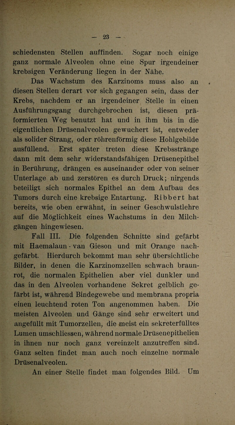 schiedensten Stellen auffinden. Sogar noch einige ganz normale Alveolen ohne eine Spur irgendeiner krebsigen Veränderung liegen in der Nähe. Das Wachstum des Karzinoms muss also an diesen Stellen derart vor sich gegangen sein, dass der Krebs, nachdem er an irgendeiner Stelle in einen Ausführungsgang durchgebrochen ist, diesen prä- formierten Weg benutzt hat und in ihm bis in die eigentlichen Drüsenalveolen gewuchert ist, entweder als solider Strang, oder röhrenförmig diese Hohlgebilde ausfüllend. Erst später treten diese Krebsstränge dann mit dem sehr widerstandsfähigen Drüsenepithel in Berührung, drängen es auseinander oder von seiner Unterlage ab und zerstören es durch Druck; nirgends beteiligt sich normales Epithel an dem Aufbau des Tumors durch eine krebsige Entartung. Ribbert hat bereits, wie oben erwTähnt, in seiner Geschwulstlehre auf die Möglichkeit eines Wachstums in den Milch¬ gängen hingewiesen. Fall III. Die folgenden Schnitte sind gefärbt mit Haemalaun - van Gieson und mit Orange nach¬ gefärbt. Hierdurch bekommt man sehr übersichtliche Bilder, in denen die Karzinomzellen schwach braun¬ rot, die normalen Epithelien aber viel dunkler und das in den Alveolen vorhandene Sekret gelblich ge¬ färbt ist, während Bindegewebe und membrana propria einen leuchtend roten Ton angenommen haben. Die meisten Alveolen und Gänge sind sehr erweitert und angefüllt mit Tumorzellen, die meist ein sekreterfülltes Lumen umschliessen, während normale Drüsenepithelien in ihnen nur noch ganz vereinzelt anzutreffen sind. Ganz selten findet man auch noch einzelne normale Drüsenalveolen. An einer Stelle findet man folgendes Bild. Um