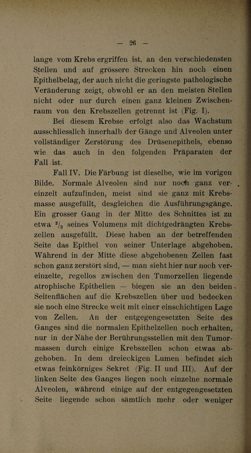 lange vom Krebs ergriffen ist, an den verschiedensten Stellen und auf grössere Strecken hin noch einen Epithelbelag, der auch nicht die geringste pathologische Veränderung zeigt, obwohl er an den meisten Stellen nicht oder nur durch einen ganz kleinen Zwischen¬ raum von den Krebszellen getrennt ist (Fig. I). Bei diesem Krebse erfolgt also das Wachstum ausschliesslich innerhalb der Gänge und Alveolen unter vollständiger Zerstörung des Drüsenepithels, ebenso wie das auch in den folgenden Präparaten der Fall ist. Fall IV. Die Färbung ist dieselbe, wie im vorigen Bilde. Normale Alveolen sind nur noch ganz ver- . einzelt aufzufinden, meist sind sie ganz mit Krebs¬ masse ausgefüllt, desgleichen die Ausführungsgänge. Ein grosser Gang in der Mitte des Schnittes ist zu etwa 2/3 seines Volumens mit dichtgedrängten Krebs¬ zellen ausgefüllt. Diese haben an der betreffenden Seite das Epithel von seiner Unterlage abgehoben. Während in der Mitte diese abgehobenen Zellen fast schon ganz zerstört sind, — man sieht hier nur noch ver¬ einzelte, regellos zwischen den Tumorzellen liegende atrophische Epithelien — biegen sie an den beiden Seitenflächen auf die Krebszellen über und bedecken sie noch eine Strecke weit mit einer einschichtigen Lage von Zellen. An der entgegengesetzten Seite des Ganges sind die normalen Epithelzellen noch erhalten, nur in der Nähe der Berührungsstellen mit den Tumor¬ massen durch einige Krebszellen schon etwas ab¬ gehoben. In dem dreieckigen Lumen befindet sich etwas feinkörniges Sekret (Fig. II und III). Auf der linken Seite des Ganges liegen noch einzelne normale Alveolen, während einige auf der entgegengesetzten Seite liegende schon sämtlich mehr oder weniger