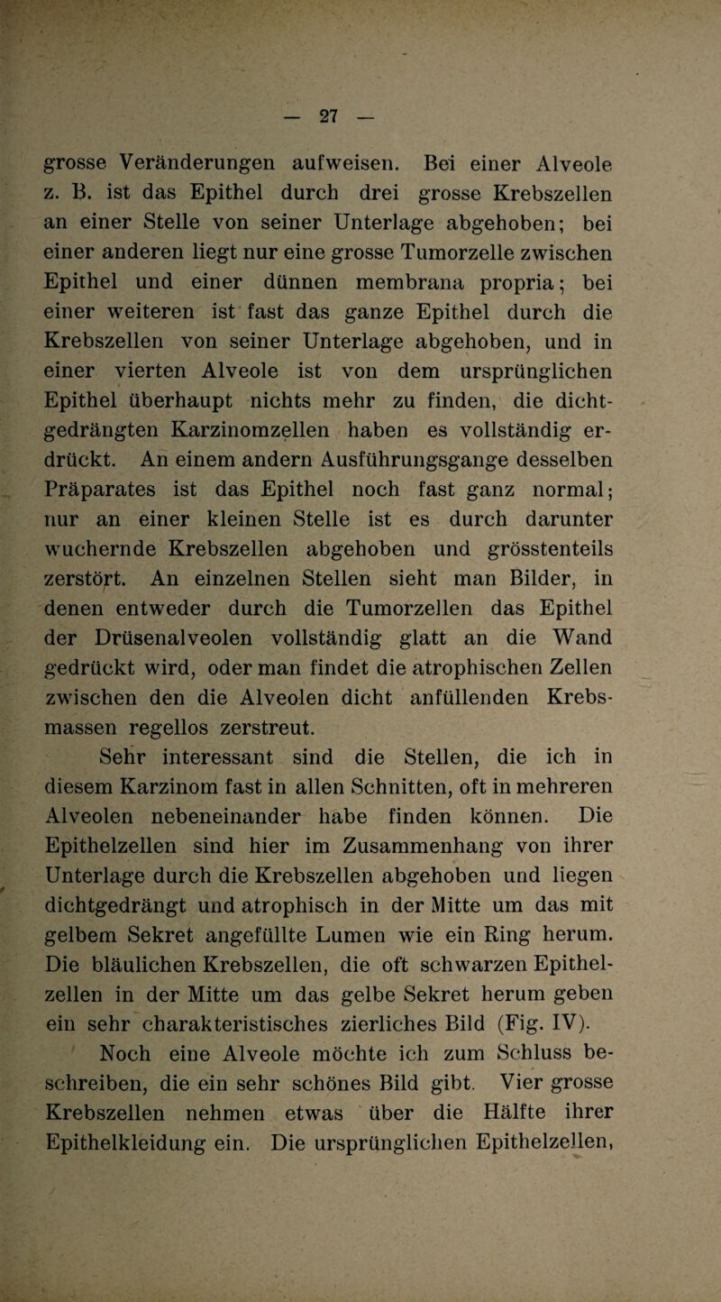 grosse Veränderungen auf weisen. Bei einer Alveole z. B. ist das Epithel durch drei grosse Krebszellen an einer Stelle von seiner Unterlage abgehoben; bei einer anderen liegt nur eine grosse Tumorzelle zwischen Epithel und einer dünnen membrana propria; bei einer weiteren ist fast das ganze Epithel durch die Krebszellen von seiner Unterlage abgehoben, und in einer vierten Alveole ist von dem ursprünglichen Epithel überhaupt nichts mehr zu finden, die dicht¬ gedrängten Karzinomzellen haben es vollständig er¬ drückt. An einem andern Ausführungsgange desselben Präparates ist das Epithel noch fast ganz normal; nur an einer kleinen Stelle ist es durch darunter wuchernde Krebszellen abgehoben und grösstenteils zerstört. An einzelnen Stellen sieht man Bilder, in denen entweder durch die Tumorzellen das Epithel der Drüsenalveolen vollständig glatt an die Wand gedrückt wird, oder man findet die atrophischen Zellen zwischen den die Alveolen dicht anfüllenden Krebs¬ massen regellos zerstreut. Sehr interessant sind die Stellen, die ich in diesem Karzinom fast in allen Schnitten, oft in mehreren Alveolen nebeneinander habe finden können. Die Epithelzellen sind hier im Zusammenhang von ihrer Unterlage durch die Krebszellen abgehoben und liegen dichtgedrängt und atrophisch in der Mitte um das mit gelbem Sekret angefüllte Lumen wie ein Ring herum. Die bläulichen Krebszellen, die oft schwarzen Epithel¬ zellen in der Mitte um das gelbe Sekret herum geben ein sehr charakteristisches zierliches Bild (Fig. IV). Noch eine Alveole möchte ich zum Schluss be¬ schreiben, die ein sehr schönes Bild gibt. Vier grosse Krebszellen nehmen etwas über die Hälfte ihrer Epithelkleidung ein. Die ursprünglichen EpithelzeJlen,