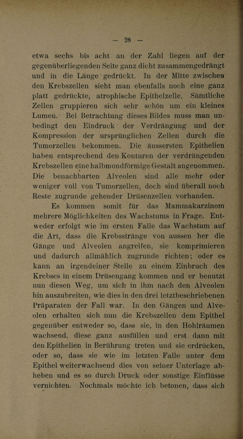 58 etwa sechs bis acht an der Zahl liegen auf der gegenüberliegenden Seite ganz dicht zusammengedrängt und in die Länge gedrückt. In der Mitte zwischen den Krebszellen sieht man ebenfalls noch eine g'anz platt gedrückte, atrophische Epithelzelle. Sämtliche Zellen gruppieren sich sehr schön um ein kleines Lumen.- Bei Betrachtung dieses Bildes muss man un¬ bedingt den Eindruck der Verdrängung und der Kompression der ursprünglichen Zellen durch die Tumorzellen bekommen. Die äussersten Epithelien haben entsprechend den Konturen der verdrängenden Krebszellen eine halbmondförmige Gestalt angenommen. Die benachbarten Alveolen sind alle mehr oder weniger voll von Tumorzellen, doch sind überall noch Reste zugrunde gehender Drüsenzellen vorhanden. Es kommen somit für das Mammakarzinom mehrere Möglichkeiten des Wachstums in Frage. Ent¬ weder erfolgt wie im ersten Falle das Wachstum auf die Art, dass die Krebsstränge von aussen her die Gänge und Alveolen angreifen, sie komprimieren und dadurch allmählich zugrunde richten; oder es kann an irgendeiner Stelle zu einem Einbruch des Krebses in einem Drüsengang kommen und er benutzt nun diesen Weg, um sich in ihm nach den Alveolen hin auszubreiten, wie dies in den drei letztbeschriebenen Präparaten der Fall war. In den Gängen und Alve¬ olen erhalten sich nun die Krebszellen dem Epithel gegenüber entweder so, dass sie, in den Hohlräumen wachsend, diese ganz ausfüllen und erst dann mit den Epithelien in Berührung treten und sie erdrücken, oder so, dass sie wie im letzten Falle unter dem Epithel weiterwachsend dies von seiner Unterlage ab¬ heben und es so durch Druck oder sonstige Einflüsse vernichten. Nochmals möchte ich betonen, dass sich