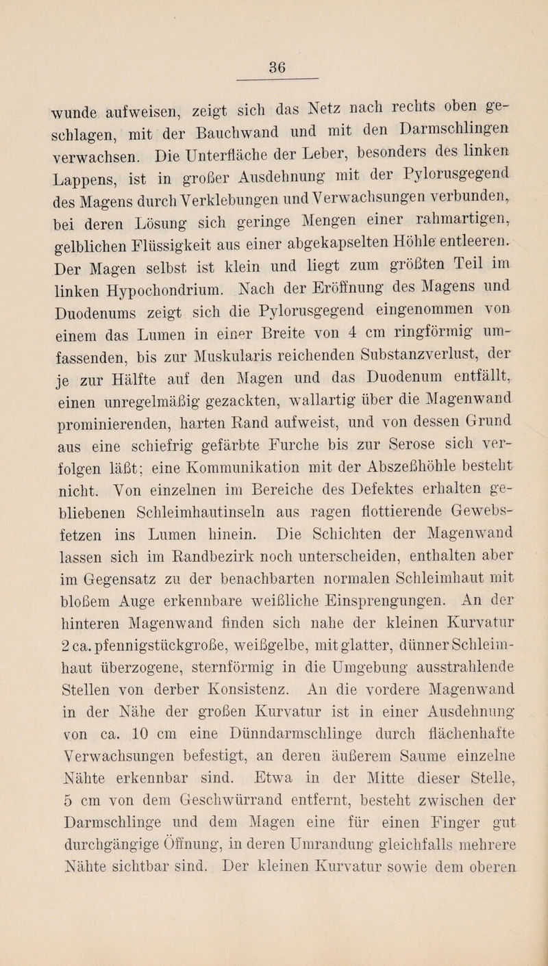 wunde aufweisen, zeigt sich das Netz nach rechts oben ge¬ schlagen, mit der Bauchwand und mit den Darmschlingen verwachsen. Die Unterfläche der Leber, besonders des linken Lappens, ist in großer Ausdehnung mit der Pylorusgegend des Magens durch Verklebungen und Verwachsungen verbunden, bei deren Lösung sich geringe Mengen einer rahmartigen, gelblichen Flüssigkeit aus einer abgekapselten Höhle entleeren. Der Magen selbst ist klein und liegt zum größten Teil im linken Hypochondrium. Nach der Eröffnung des Magens und Duodenums zeigt sich die Pylorusgegend eingenommen von einem das Lumen in einer Breite von 4 cm ringförmig um¬ fassenden, bis zur Muskularis reichenden Substanzverlust, der je zur Hälfte auf den Magen und das Duodenum entfällt, einen unregelmäßig gezackten, wallartig über die Magenwand prominierenden, harten Rand auf weist, und von dessen Grund aus eine schiefrig gefärbte Furche bis zur Seröse sich ver¬ folgen läßt; eine Kommunikation mit der Abszeßhöhle besteht nicht. Von einzelnen im Bereiche des Defektes erhalten ge¬ bliebenen Schleimhautinseln aus ragen flottierende Gewebs- fetzen ins Lumen hinein. Die Schichten der Magenwand lassen sich im Randbezirk noch unterscheiden, enthalten aber im Gegensatz zu der benachbarten normalen Schleimhaut mit bloßem Auge erkennbare weißliche Einsprengungen. An der hinteren Magenwand finden sich nahe der kleinen Kurvatur 2 ca. pfennigstückgroße, weißgelbe, mit glatter, dünner Schleim¬ haut überzogene, sternförmig in die Umgebung ausstrahlende Stellen von derber Konsistenz. An die vordere Magenwand in der Nähe der großen Kurvatur ist in einer Ausdehnung von ca. 10 cm eine Dünndarmschlinge durch flächenhafte Verwachsungen befestigt, an deren äußerem Saume einzelne Nähte erkennbar sind. Etwa in der Mitte dieser Stelle, 5 cm von dem Geschwürrand entfernt, besteht zwischen der Darmschlinge und dem Magen eine für einen Finger gut durchgängige Öffnung, in deren Umrandung gleichfalls mehrere Nähte sichtbar sind. Der kleinen Kurvatur sowie dem oberen