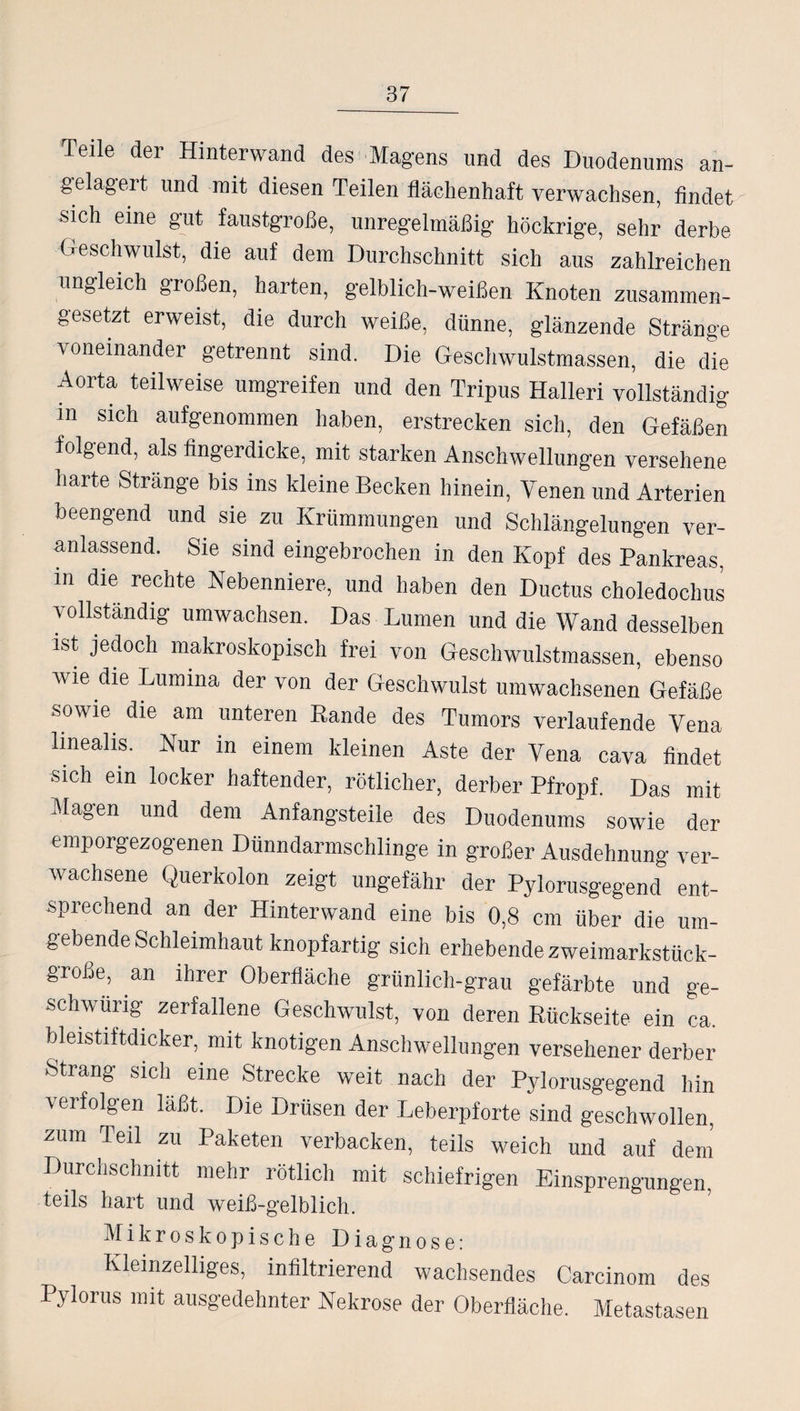 Teile der Hinterwand des Magens und des Duodenums an¬ gelagert und mit diesen Teilen flächenhaft verwachsen, findet sich eine gut faustgroße, unregelmäßig höckrige, sehr derbe Geschwulst, die auf dem Durchschnitt sich aus zahlreichen ungleich großen, harten, gelblich-weißen Knoten zusammen¬ gesetzt erweist, die durch weiße, dünne, glänzende Stränge voneinander getrennt sind. Die Geschwulstmassen, die die Aorta teilweise umgreifen und den Tripus Halleri vollständig in sich aufgenommen haben, erstrecken sich, den Gefäßen folgend, als fingerdicke, mit starken Anschwellungen versehene harte Strange bis ins kleine Becken hinein, Venen und Arterien beengend und sie zu Krümmungen und Schlängelungen ver¬ anlassend. Sie sind eingebrochen in den Kopf des Pankreas, in die rechte Nebenniere, und haben den Ductus choledochus vollständig umwachsen. Das Lumen und die Wand desselben ist jedoch makroskopisch frei von Geschwulstmassen, ebenso wie die Lumina der von der Geschwulst umwachsenen Gefäße sowie die am unteren Rande des Tumors verlaufende Vena linealis. Nur in einem kleinen Aste der Vena cava findet sich ein locker haftender, rötlicher, derber Pfropf. Das mit Magen und dem Anfangsteile des Duodenums sowie der emporgezogenen Dünndarmschlinge in großer Ausdehnung ver¬ wachsene Querkolon zeigt ungefähr der Pylorusgegend ent¬ sprechend an der Hinterwand eine bis 0,8 cm über die um¬ gebende Schleimhaut knopfartig sich erhebende zweimarkstück¬ große, an ihrer Oberfläche grünlich-grau gefärbte und ge- schwung zerfallene Geschwulst, von deren Rückseite ein ca. bleistiftdicker, mit knotigen Anschwellungen versehener derber Strang sich eine Strecke weit nach der Pylorusgegend hin \ erfolgen läßt. Die Drüsen der Leberpforte sind geschwollen, zum Teil zu Paketen verbacken, teils weich und auf dem Durchschnitt mehr rötlich mit schiefrigen Einsprengungen, teils hart und weiß-gelblich. Mikroskopische Diagnose: Kleinzelliges, infiltrierend wachsendes Carcinom des Pylorus mit ausgedehnter Nekrose der Oberfläche. Metastasen
