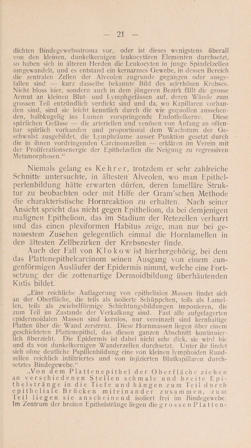 dichten Bindegewebsstroma vor, oder ist dieses wenigstens überall von den kleinen, dunkelkernigen leukocytären Elementen durchsetzt, so haben sich in älteren Herden die Leukocyten in junge Spindelzellen umgewandelt, und es entstand ein kernarmes Gewebe, in dessen Bereich die zentralen Zellen der Alveolen zugrunde gegangen oder ausge¬ fallen sind —- kurz dasselbe bekannte Bild des scirrhösen Krebses. Nicht bloss hier, sondern auch in dem jüngeren Bezirk fällt die grosse Armut an kleinen Blut- und Lymphgefässen auf, deren Wände zum grossen Teil entzündlich verdickt sind und da, wo Kapillaren vorhan¬ den sind, sind sie leicht kenntlich durch die wie gequollen aussehen¬ den, halbkugelig ins Lumen vorspringende Endothelkerne. Diese spärlichen Gefässe — die arteriellen und venösen von Anfang an offen¬ bar spärlich vorhanden und proportional dem Wachstum der Ge¬ schwulst ausgebildet, die Lymphräume ausser Punktion gesetzt durch die in ihnen vordringenden Carcinomzellen — erklären im Verein mit der Proliferationsenergie der Epithelzellen die Neigung zu regressiven Metamorphosen. Niemals gelang es Kehrer, trotzdem er sehr zahlreiche Schnitte untersuchte, in ältesten Alveolen, wo man Epithel¬ perlenbildung hätte erwarten dürfen, deren lamelläre Struk¬ tur zu beobachten oder mit Hilfe der Granrschen Methode die charakteristische Hornreaktion zu erhalten. Nach seiner Ansicht spricht das nicht gegen Epitheliom, da bei demjenigen malignen Epitheliom, das im Stadium der Retezellen verharrt und das einen plexiformen Elabitus zeige, man nur bei ge¬ nauestem Zusehen gelegentlich einmal die Hornlamellen in den ältesten Zellbezirken der Krebsnester finde. Auch der Fall von Klokow ist hierhergehörig, bei dem das Plattenepithelcarcinom seinen Ausgang von einem zun¬ genförmigen Ausläufer der Epidermis nimmt, welche eine Fort¬ setzung der die zottenartige Dermoidbildung überhäutenden Kutis bildet. ,,Eine reichliche Auflagerung von epithelialen Massen findet sich an der Oberfläche, die teils als isolierte Schüppchen, teils als Lamel¬ len, teils als zwiebelförmige Schichtungsbildungen imponieren, die zum Teil im Zustande der Verkalkung sind. Fast alle aufgelagerten epidermoidalen Massen sind kernlos, nur vereinzelt sind kernhaltige Platten über die Wand zerstreut. Diese Hornmassen liegen über einem geschichteten Plattenepithel, das diesen ganzen Abschnitt kontinuier¬ lich überzieht. Die Epidermis ist dabei Ficht sehr dick, sie wird hie und da von dunkelkernigen Wanderzellen durchsetzt. Unter ihr findet sich ohne deutliche Papillenbildung eine von kleinen lymphoiden Rund- zellen reichlich infiltriertes und von injizierten Blutkapillaren durch¬ setztes Bindegewebe. ..Von dem Plattenepithel der Oberfläche ziehen an verschiedenen Stellen schmale und breite Epi¬ thelstränge in die Tiefe und hängen zum Teil durch e p itheliale Brücken miteinander zusammen, zum Teil liegen sie anscheinend isoliert frei im Bindegewebe. Im Zentrum der breiten Epithelstränge liegen die grossen Platten-