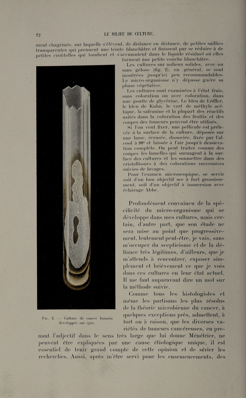îuoiil chagrinée, sur laquelle sclevent, < 1 o distance en distance, de pelilos saillies transparentes qui prennent une teinte blanchâtre et finissent liai* se réduire à de petites croûtelles qui tombent et s’accumulent dans le liquide résiduel où elles forment une petite couche blanchâtre. Les cultures sur milieux solides, avec ou sans gélose (fig. 2), en général, se sont montrées jusqu’ici peu recommandables. Le micro-organisme n’y dépasse guère sa phase végétative. Les cultures sont examinées à l’état frais, sans coloration ou avec coloration, dans une goutte de glycérine. Le bleu de Lôffler, le bleu de Kuhn, le vert de méthyle acé- lique, la safranine el la plupart des réactifs usités dans la coloration des frottis et des coupes des tumeurs peuvent être utilisés. Si l’on veut tixer, une pellicule est préle¬ vée à la surface de la culture, déposée sur une lame, écrasée, dissociée, fixée par l’al¬ cool à 1)0° el laissée à l’air jusqu’à dessicca¬ tion complète. On peut traiter comme des coupes les lamelles qui surnagent à la sur¬ face des cultures el les soumettre dans des cristallisoirs à dos colorations successives suivies de lavages. Pour l’examen microscopique, se servir soil d’un bon objectif sec à fort grossisse- ment, soil d'un objectif à immersion avec éclairage Abbe. Profondément convaincu de la spé¬ cificité du micro-organisme qui sc développe dans mes cultures, mais cer¬ tain, d’autre part, que son étude ne sera mise au point que progressive¬ ment, lentement peut-être, je vais, sans m’occuper du scepticisme et de la dé¬ fiance très légitimes, d’ailleurs, que je m'attends à rencontrer, exposer sim¬ plement et brièvement ce que je vois dans ces cultures en leur état actuel. 11 me faut auparavant dire un mot sur la méthode suivie. Comme tous les histologistes et même les partisans les plus résolus de la théorie microbienne du cancer, à Fig. 2. — Culture de cancer lminain développée sur rgar. quelques exceptions près, admettent, à tort ou à raison, que les diverses va¬ riétés de tumeurs cancéreuses, en pre¬ nant l’adjectif dans le sens très large que lui donne Ménétrier, ne peuvent être expliquées par une cause étiologique unique, il est essentiel de tenir grand compte de cette opinion et de sérier les recherches. Aussi, après m’être servi pour les ensemencements, des
