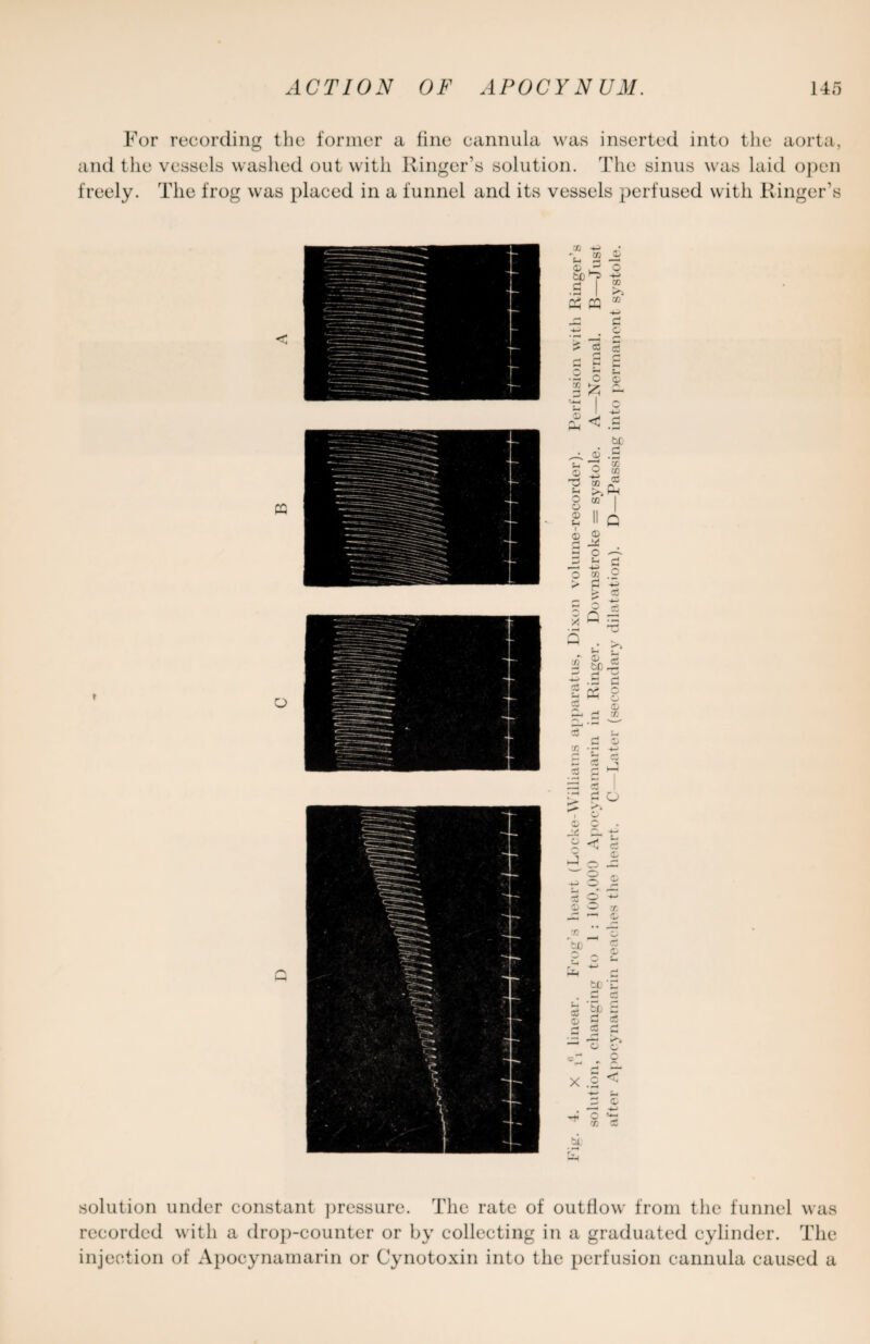 For recording the former a fine cannula was inserted into the aorta, and the vessels washed out with Ringer’s solution. The sinus was laid open freely. The frog was placed in a funnel and its vessels perfused with Ringer’s solution under constant pressure. The rate of outflow from the funnel was recorded with a drop-counter or by collecting in a graduated cylinder. The injection of Apocynamarin or Cynotoxin into the perfusion cannula caused a