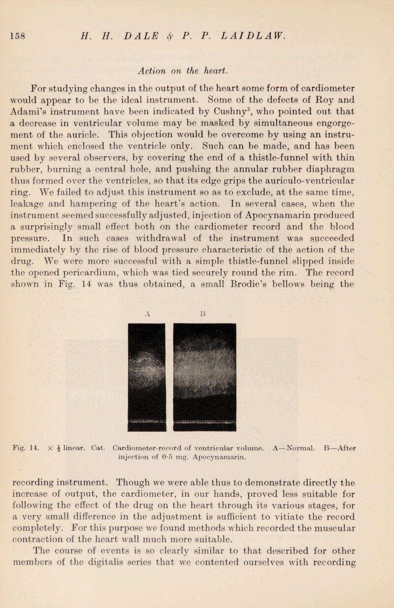 Action on the heart. For studying changes in the output of the heart some form of cardiometer would appear to be the ideal instrument. Some of the defects of Roy and Adami’s instrument have been indicated by Cushny3, who pointed out that a decrease in ventricular volume may be masked by simultaneous engorge¬ ment of the auricle. This objection would be overcome by using an instru¬ ment which enclosed the ventricle only. Such can be made, and has been used by several observers, by covering the end of a thistle-funnel with thin rubber, burning a central hole, and pushing the annular rubber diaphragm thus formed over the ventricles, so that its edge grips the auriculo-ventricular ring. We failed to adjust this instrument so as to exclude, at the same time, leakage and hampering of the heart’s action. In several cases, when the instrument seemed successfully adjusted, injection of Apocynamarin produced a surprisingly small effect both on the cardiometer record and the blood pressure. In such cases withdrawal of the instrument was succeeded immediately by the rise of blood pressure characteristic of the action of the drug. We were more successful with a simple thistle-funnel slipped inside the opened pericardium, which was tied securely round the rim. The record shown in Fig. 14 was thus obtained, a small Brodie’s bellows being the A 13 Fig. 14. X ^ linear. Cat. Cardiometer-record of ventricular volume. A—Normal. B—After injection of 0-5 mg. Apocynamarin. recording instrument. Though we were able thus to demonstrate directly the increase of output, the cardiometer, in our hands, proved less suitable for following the effect of the drug on the heart through its various stages, for a very small difference in the adjustment is sufficient to vitiate the record completely. For this purpose we found methods which recorded the muscular contraction of the heart wall much more suitable. The course of events is so clearly similar to that described for other members of the digitalis series that we contented ourselves with recording