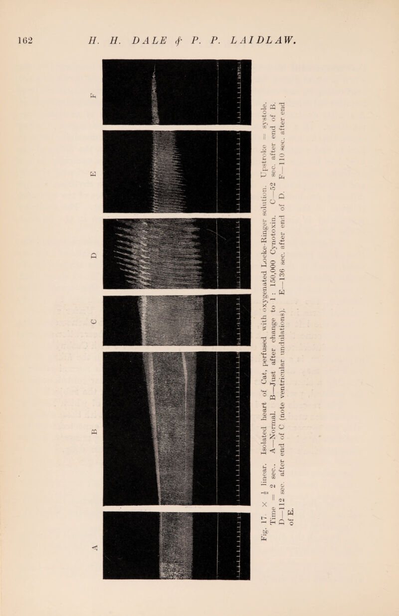 PQ T3 d o © -4—> <44 m o Sh ►>* © m T3 £3 03 II © © <D M © © cc ,_ -43 o <43 d o ?-l F“-4 Cfi ©' © P w P <M d lO o • •—* | Q -4-> O 'd 'o w Ti d © © CJD d 'x .d o 4-3 j-i o d © 4-3 t« © >-> 03 P O . o © o p o o © 03 t3 © -1-3 <o © ic -136 o3 P—4 H | © P tf) >» X 0 O -4-> (~j 4-> • r—4 bo W C 'C £ d cS eg T5 © m =3 <44 43 o CD un dul &4 © <4-4 u. M3 c3 d r—H p* © c3 GQ © o •“5 'E 43 1 d <44 | © o w > 43 © S4 4-3 o3 . C © r~* d d d © C t-1 o l—_ O <44 4-3 p p O 'd 1 T) co HH d © • • © ?4 © 43 d <44 © © d d oq P © © H<n it CO II X r-H © r-H p d • rH r—H H Q <44 o P