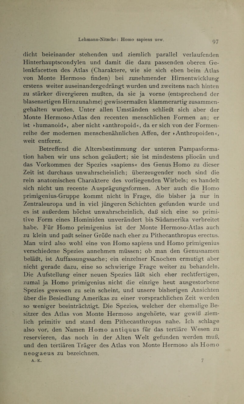 dicht beieinander stehenden und ziemlich parallel verlaufenden Hinterhauptscondylen und damit die dazu passenden oberen Ge¬ lenkfacetten des Atlas (Charaktere, wie sie sich eben beim Atlas von Monte Hermoso finden) bei zunehmender Hirnentwicklung erstens weiter auseinandergedrängt wurden und zweitens nach hinten zu stärker divergieren mußten, da sie ja vorne (entsprechend der blasenartigen Hirnzunahme) gewissermaßen klammerartig zusammen¬ gehalten wurden. Unter allen Umständen schließt sich aber der Monte Hermoso-Atlas den recenten menschlichen Formen an; er ist »humanoid«, aber nicht »anthropoid«, da er sich von der Formen¬ reihe der modernen menschenähnlichen Affen, der »Anthropoiden«, weit entfernt. Betreffend die Altersbestimmung der unteren Pampasforma¬ tion haben wir uns schon geäußert; sie ist mindestens pliocän und das Vorkommen der Spezies »sapiens« des Genus Homo zu dieser Zeit ist durchaus unwahrscheinlich; überzeugender noch sind die rein anatomischen Charaktere des vorliegenden Wirbels; es handelt sich nicht um recente Ausprägungsformen. Aber auch die Homo primigenius-Gruppe kommt nicht in Frage, die bisher ja nur in Zentraleuropa und in viel jüngeren Schichten gefunden wurde und es ist außerdem höchst unwahrscheinlich, daß sich eine so primi¬ tive Form eines Hominiden unverändert bis Südamerika verbreitet habe. Für Homo primigenius ist der Monte Hermoso-Atlas auch zu klein und paßt seiner Größe nach eher zu Pithecanthropus erectus. Man wird also wohl eine von Homo sapiens und Homo primigenius verschiedene Spezies annehmen müssen; ob man den Genusnamen beläßt, ist Auffassungssache; ein einzelner Knochen ermutigt aber nicht gerade dazu, eine so schwierige Frage weiter zu behandeln. Die Aufstellung einer neuen Spezies läßt sich eher rechtfertigen, zumal ja Homo primigenius nicht die einzige heut ausgestorbene Spezies gewesen zu sein scheint, und unsere bisherigen Ansichten über die Besiedlung Amerikas zu einer vorsprachlichen Zeit werden so weniger beeinträchtigt. Die Spezies, welcher der ehemalige Be¬ sitzer des Atlas von Monte Hermoso angehörte, war gewiß ziem¬ lich primitiv und stand dem Pithecanthropus nahe. Ich schlage also vor, den Namen Homo antiquus für das tertiäre Wesen zu reservieren, das noch in der Alten Welt gefunden werden muß, und den tertiären Träger des Atlas von Monte Hermoso als Homo neogaeus zu bezeichnen. A.K. 7