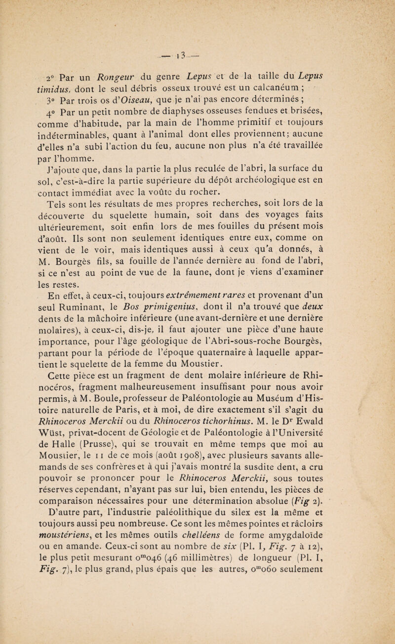 2° Par un Rongeur du genre Lepus et de la taille du Lepus timidus, dont le seul débris osseux trouvé est un calcanéum ; 3° Par trois os âê Oiseau, que je n’ai pas encore déterminés ; 40 Par un petit nombre de diaphyses osseuses fendues et brisées, comme d’habitude, par la main de l’homme primitif et toujours indéterminables, quant à l’animal dont elles proviennent; aucune d’elles n’a subi l’action du feu, aucune non plus n’a été travaillée par l’homme. J’ajoute que, dans la partie la plus reculée de l’abri, la surface du sol, c’est-à-dire la partie supérieure du dépôt archéologique est en contact immédiat avec la voûte du rocher. Tels sont les résultats de mes propres recherches, soit lors de la découverte du squelette humain, soit dans des voyages faits ultérieurement, soit enfin lors de mes fouilles du présent mois d’août. Ils sont non seulement identiques entre eux, comme on vient de le voir, mais identiques aussi à ceux qu’a donnés, à M. Bourgès fils, sa fouille de l’année dernière au fond de l’abri, si ce n’est au point de vue de la faune, dont je viens d’examiner les restes. En effet, à ceux-ci, toujours extrêmement rares et provenant d’un seul Ruminant, le Bos primigenius, dont il n’a trouvé que deux dents de la mâchoire inferieure (une avant-dernière et une dernière molaires), à ceux-ci, dis-je, il faut ajouter une pièce d’une haute importance, pour l’âge géologique de l’Abri-sous-roche Bourgès, partant pour la période de l’époque quaternaire à laquelle appar¬ tient le squelette de la femme du Moustier. Cette pièce est un fragment de dent molaire inférieure de Rhi¬ nocéros, fragment malheureusement insuffisant pour nous avoir permis, à M. Boule,professeur de Paléontologie au Muséum d’His- toire naturelle de Paris, et à moi, de dire exactement s’il s’agit du Rhinocéros Merckii ou du Rhinocéros tichorhinus. M. le Dr Ewald Wüst, privat-docent de Géologie et de Paléontologie à l’Université de Halle (Prusse), qui se trouvait en même temps que moi au Moustier, le 11 de ce mois (août 1908), avec plusieurs savants alle¬ mands de ses confrères et à qui j’avais montré la susdite dent, a cru pouvoir se prononcer pour le Rhinocéros Merckii, sous toutes réserves cependant, n’ayant pas sur lui, bien entendu, les pièces de comparaison nécessaires pour une détermination absolue (Fig 2). D’autre part, l’industrie paléolithique du silex est la même et toujours aussi peu nombreuse. Ce sont les mêmes pointes etrâcloirs moustériens, et les mêmes outils chelléens de forme amygdaloïde ou en amande. Ceux-ci sont au nombre de six (PI. I, Fig. 7 à 12), le plus petit mesurant om04Ô (46 millimètres) de longueur (PI. I,