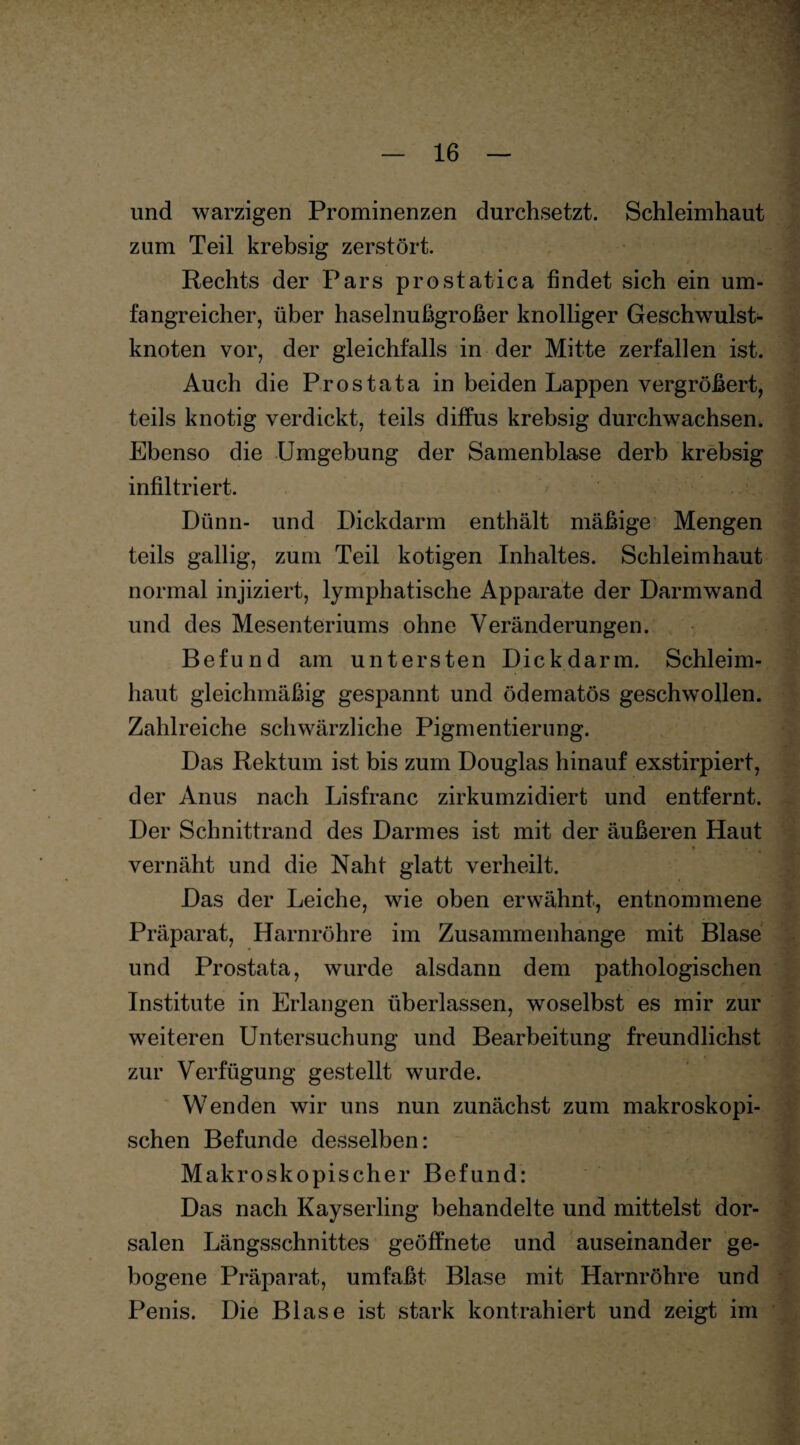 und warzigen Prominenzen durchsetzt. Schleimhaut zum Teil krebsig zerstört. Rechts der Pars prostatica findet sich ein um¬ fangreicher, über haselnußgroßer knolliger Geschwulst¬ knoten vor, der gleichfalls in der Mitte zerfallen ist. Auch die Prostata in beiden Lappen vergrößert, teils knotig verdickt, teils diffus krebsig durchwachsen. Ebenso die Umgebung der Samenblase derb krebsig infiltriert. Dünn- und Dickdarm enthält mäßige Mengen teils gallig, zum Teil kotigen Inhaltes. Schleimhaut normal injiziert, lymphatische Apparate der Darmwand und des Mesenteriums ohne Veränderungen. Befund am untersten Dickdarm. Schleim¬ haut gleichmäßig gespannt und ödematös geschwollen. Zahlreiche schwärzliche Pigmentierung. Das Rektum ist bis zum Douglas hinauf exstirpiert, der Anus nach Lisfranc zirkumzidiert und entfernt. Der Schnittrand des Darmes ist mit der äußeren Haut vernäht und die Naht glatt verheilt. Das der Leiche, wie oben erwähnt, entnommene Präparat, Harnröhre im Zusammenhänge mit Blase und Prostata, wurde alsdann dem pathologischen Institute in Erlangen überlassen, woselbst es mir zur weiteren Untersuchung und Bearbeitung freundlichst zur Verfügung gestellt wurde. Wenden wir uns nun zunächst zum makroskopi¬ schen Befunde desselben: Makroskopischer Befund: Das nach Kayserling behandelte und mittelst dor¬ salen Längsschnittes geöffnete und auseinander ge¬ bogene Präparat, umfaßt Blase mit Harnröhre und Penis. Die Blase ist stark kontrahiert und zeigt im