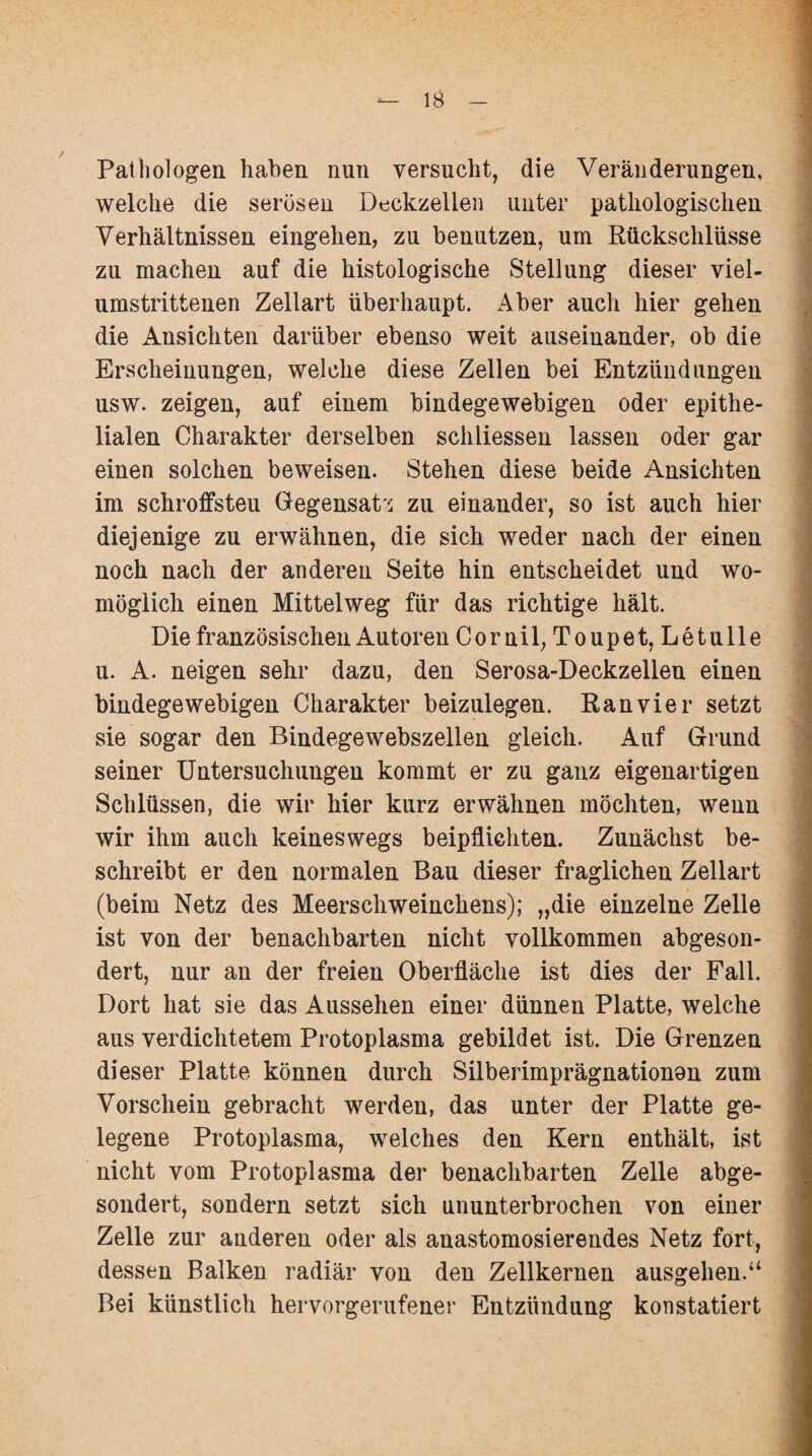 Pathologen haben nun versucht, die Veränderungen, welche die serösen Deckzellen unter pathologischen Verhältnissen eingehen, zu benutzen, um Rückschlüsse zu machen auf die histologische Stellung dieser viel¬ umstrittenen Zellart überhaupt. Aber auch hier gehen die Ansichten darüber ebenso weit auseinander, ob die Erscheinungen, welche diese Zellen bei Entzündungen usw. zeigen, auf einem bindegewebigen oder epithe¬ lialen Charakter derselben schliessen lassen oder gar einen solchen beweisen. Stehen diese beide Ansichten im schroffsteu Gegensatz zu einander, so ist auch hier diejenige zu erwähnen, die sich weder nach der einen noch nach der anderen Seite hin entscheidet und wo¬ möglich einen Mittelweg für das richtige hält. Die französischen Autoren Corni 1, Toupet, Letulle u. A. neigen sehr dazu, den Serosa-Deckzellen einen bindegewebigen Charakter beizulegen. Ran vier setzt sie sogar den Bindegewebszellen gleich. Auf Grund seiner Untersuchungen kommt er zu ganz eigenartigen Schlüssen, die wir hier kurz erwähnen möchten, wenn wir ihm auch keineswegs beipflichten. Zunächst be¬ schreibt er den normalen Bau dieser fraglichen Zellart (beim Netz des Meerschweinchens); „die einzelne Zelle ist von der benachbarten nicht vollkommen abgeson¬ dert, nur an der freien Oberfläche ist dies der Fall. Dort hat sie das Aussehen einer dünnen Platte, welche aus verdichtetem Protoplasma gebildet ist. Die Grenzen dieser Platte können durch Silberimprägnationon zum Vorschein gebracht werden, das unter der Platte ge¬ legene Protoplasma, welches den Kern enthält, ist nicht vom Protoplasma der benachbarten Zelle abge¬ sondert, sondern setzt sich ununterbrochen von einer Zelle zur anderen oder als anastomosierendes Netz fort, dessen Balken radiär von den Zellkernen ausgehen.“ Bei künstlich hervorgerufener Entzündung konstatiert