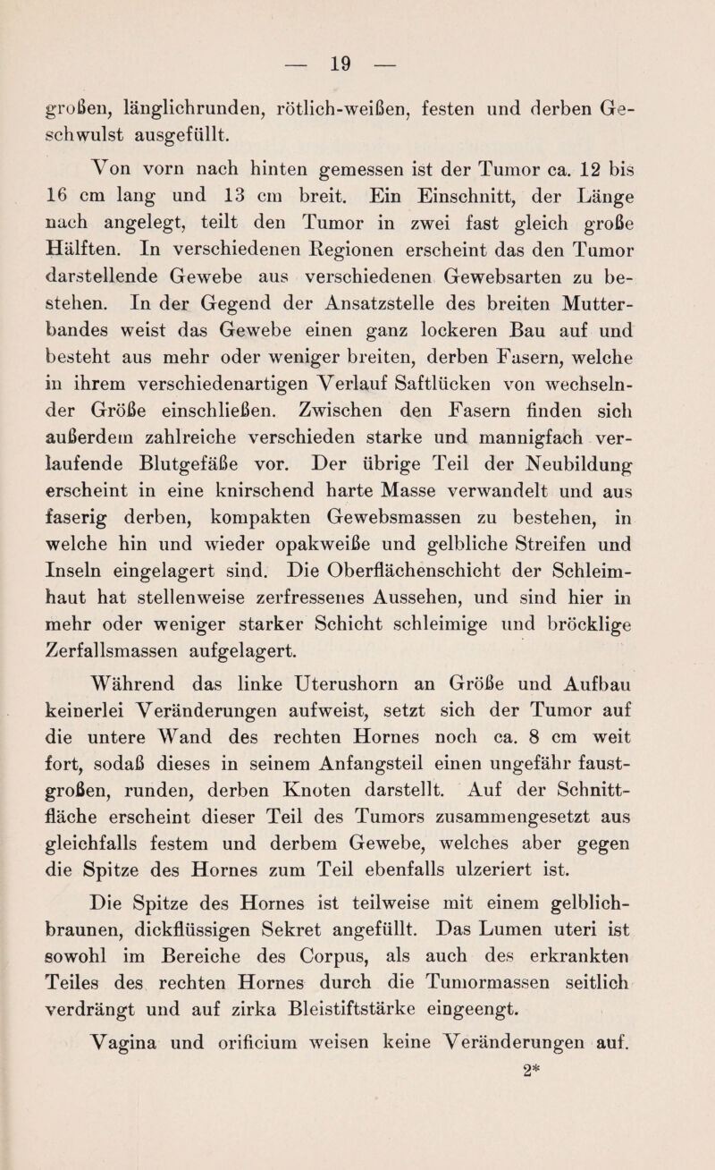 großen, länglichrunden, rötlich-weißen, festen und derben Ge¬ schwulst ausgefüllt. Von vorn nach hinten gemessen ist der Tumor ca. 12 bis 16 cm lang und 13 cm breit. Ein Einschnitt, der Länge nach angelegt, teilt den Tumor in zwei fast gleich große Hälften. In verschiedenen Regionen erscheint das den Tumor darstellende Gewebe aus verschiedenen Gewebsarten zu be¬ stehen. In der Gegend der Ansatzstelle des breiten Mutter¬ bandes weist das Gewebe einen ganz lockeren Bau auf und besteht aus mehr oder weniger breiten, derben Fasern, welche in ihrem verschiedenartigen Verlauf Saftlücken von wechseln¬ der Größe einschließen. Zwischen den Fasern finden sich außerdem zahlreiche verschieden starke und mannigfach ver¬ laufende Blutgefäße vor. Der übrige Teil der Neubildung erscheint in eine knirschend harte Masse verwandelt und aus faserig derben, kompakten Gewebsmassen zu bestehen, in welche hin und wieder opakweiße und gelbliche Streifen und Inseln eingelagert sind. Die Oberflächenschicht der Schleim¬ haut hat stellenweise zerfressenes Aussehen, und sind hier in mehr oder weniger starker Schicht schleimige und bröcklige Zerfallsmassen aufgelagert. Während das linke Uterushorn an Größe und Aufbau keinerlei Veränderungen aufweist, setzt sich der Tumor auf die untere Wand des rechten Hornes noch ca. 8 cm weit fort, sodaß dieses in seinem Anfangsteil einen ungefähr faust¬ großen, runden, derben Knoten darstellt. Auf der Schnitt¬ fläche erscheint dieser Teil des Tumors zusammengesetzt aus gleichfalls festem und derbem Gewebe, welches aber gegen die Spitze des Hornes zum Teil ebenfalls ulzeriert ist. Die Spitze des Hornes ist teilweise mit einem gelblich¬ braunen, dickflüssigen Sekret angefüllt. Das Lumen uteri ist sowohl im Bereiche des Corpus, als auch des erkrankten Teiles des rechten Hornes durch die Tumormassen seitlich verdrängt und auf zirka Bleistiftstärke eingeengt. Vagina und orificium weisen keine Veränderungen auf. 2*