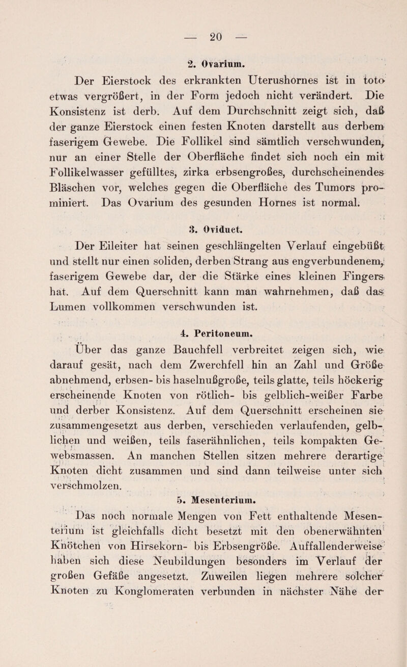 2. Ovarium. Der Eierstock des erkrankten Uterushornes ist in toh> etwas vergrößert, in der Form jedoch nicht verändert. Die Konsistenz ist derb. Auf dem Durchschnitt zeigt sich, daß der ganze Eierstock einen festen Knoten darstellt aus derbem faserigem Gewebe. Die Follikel sind sämtlich verschwunden, nur an einer Stelle der Oberfläche findet sich noch ein mit Follikelwasser gefülltes, zirka erbsengroßes, durchscheinendes Bläschen vor, welches gegen die Oberfläche des Tumors pro- ruiniert. Das Ovarium des gesunden Hornes ist normal. 3. Oviduct. Der Eileiter hat seinen geschlängelten Verlauf eingebüßt und stellt nur einen soliden, derben Strang aus engverbundenem, faserigem Gewebe dar, der die Stärke eines kleinen Fingers hat. Auf dem Querschnitt kann man wahrnehmen, daß das Lumen vollkommen verschwunden ist. 4. Peritoneum. Über das ganze Bauchfell verbreitet zeigen sich, wie darauf gesät, nach dem Zwerchfell hin an Zahl und Größe abnehmend, erbsen- bis haselnußgroße, teils glatte, teils höckerige erscheinende Knoten von rötlich- bis gelblich-weißer Farbe und derber Konsistenz. Auf dem Querschnitt erscheinen sie zusammengesetzt aus derben, verschieden verlaufenden, gelb¬ lichen und weißen, teils faserähnlichen, teils kompakten Ge- websmassen. An manchen Stellen sitzen mehrere derartige Knoten dicht zusammen und sind dann teilweise unter sich ! V*l.. ' - . . v ' y verschmolzen. 5. Mesenterium. Das noch normale Mengen von Fett enthaltende Mesen¬ terium ist gleichfalls dicht besetzt mit den obenerwähnten Knötchen von Hirsekorn- bis Erbsengroße. Auffallenderweise haben sich diese Neubildungen besonders im Verlauf der großen Gefäße angesetzt. Zuweilen liegen mehrere solcher Knoten zu Konglomeraten verbunden in nächster Nähe der