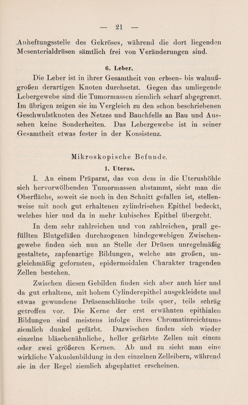 Anheftungsstelle des Gekröses, während die dort liegenden Mesenterialdrüsen sämtlich frei von Veränderungen sind. 6. Leber. Die Leber ist in ihrer Gesamtheit von erbsen- bis walnu߬ großen derartigen Knoten durchsetzt. Gegen das umliegende Lebergewebe sind die Tumormassen ziemlich scharf abgegrenzt. Im übrigen zeigen sie im Vergleich zu den schon beschriebenen Geschwulstknoten des Netzes und Bauchfells an Bau und Aus¬ sehen keine Sonderheiten. Das Lebergewebe ist in seiner Gesamtheit etwas fester in der Konsistenz. Mikroskopische Befunde. 1. Uterus. I. An einem Präparat, das von dem in die Uterushöhle sich hervorwölbenden Tumormassen abstammt, sieht man die Oberfläche, soweit sie noch in den Schnitt gefallen ist, stellen¬ weise mit noch gut erhaltenen zylindrischen Epithel bedeckt, welches hier und da in mehr kubisches Epithel übergeht. In dem sehr zahlreichen und von zahlreichen, prall ge¬ füllten Blutgefäßen durchzogenen bindegewebigen Zwischen¬ gewebe finden sich nun an Stelle der Drüsen unregelmäßig gestaltete, zapfenartige Bildungen, welche aus großen, un¬ gleichmäßig geformten, epidermoidalen Charakter tragenden Zellen bestehen. Zwischen diesen Gebilden finden sich aber auch hier und da gut erhaltene, mit hohem Cylinderepithel ausgekleidete und «twas gewundene Drüsenschläuche teils quer, teils schräg getroffen vor. Die Kerne der erst erwähnten epithialen Bildungen sind meistens infolge ihres Chromatinreichtums ziemlich dunkel gefärbt. Dazwischen finden sich wieder einzelne bläschenähnliche, heller gefärbte Zellen mit einem oder zwei größeren Kernen. Ab und zu sieht man eine wirkliche Vakuolenbildung in den einzelnen Zelleibern, während sie in der Kegel ziemlich abgeplattet erscheinen.