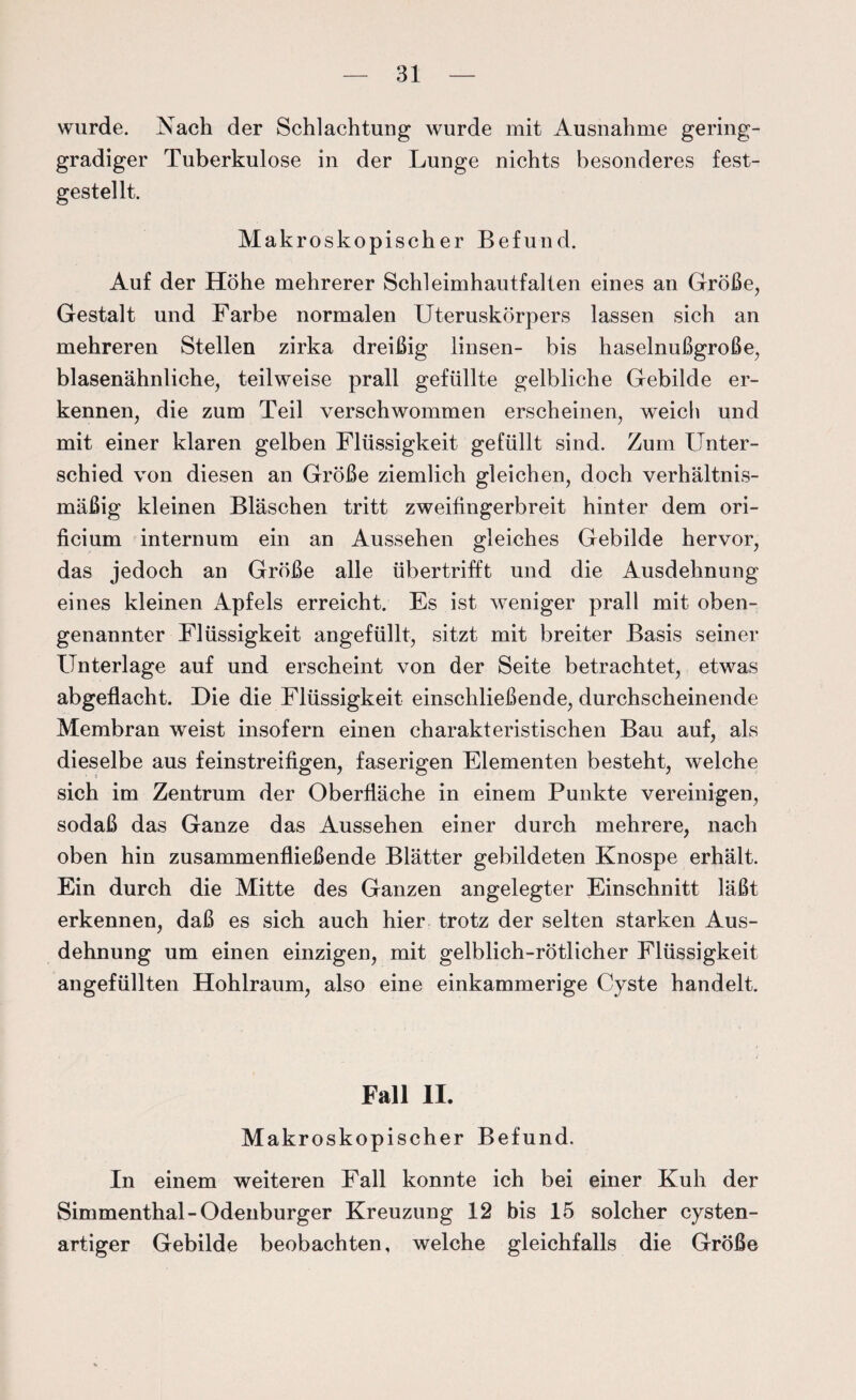 wurde. Nach der Schlachtung wurde mit Ausnahme gering¬ gradiger Tuberkulose in der Lunge nichts besonderes fest¬ gestellt. Makroskopischer Befund. Auf der Höhe mehrerer Schleimhautfalten eines an Größe, Gestalt und Farbe normalen Uteruskörpers lassen sich an mehreren Stellen zirka dreißig linsen- bis haselnußgroße, blasenähnliche, teilweise prall gefüllte gelbliche Gebilde er¬ kennen, die zum Teil verschwommen erscheinen, weich und mit einer klaren gelben Flüssigkeit gefüllt sind. Zum Unter¬ schied von diesen an Größe ziemlich gleichen, doch verhältnis¬ mäßig kleinen Bläschen tritt zweifingerbreit hinter dem ori- ficium internum ein an Aussehen gleiches Gebilde hervor, das jedoch an Größe alle übertrifft und die Ausdehnung eines kleinen Apfels erreicht. Es ist weniger prall mit oben¬ genannter Flüssigkeit angefüllt, sitzt mit breiter Basis seiner Unterlage auf und erscheint von der Seite betrachtet, etwas abgeflacht. Die die Flüssigkeit einschließende, durchscheinende Membran weist insofern einen charakteristischen Bau auf, als dieselbe aus feinstreifigen, faserigen Elementen besteht, welche sich im Zentrum der Oberfläche in einem Punkte vereinigen, sodaß das Ganze das Aussehen einer durch mehrere, nach oben hin zusammenfließende Blätter gebildeten Knospe erhält. Ein durch die Mitte des Ganzen angelegter Einschnitt läßt erkennen, daß es sich auch hier trotz der selten starken Aus¬ dehnung um einen einzigen, mit gelblich-rötlicher Flüssigkeit angefüllten Hohlraum, also eine einkammerige Cyste handelt. Fall II. Makroskopischer Befund. In einem weiteren Fall konnte ich bei einer Kuh der Simmenthal- Odenburger Kreuzung 12 bis 15 solcher cysten¬ artiger Gebilde beobachten, welche gleichfalls die Größe