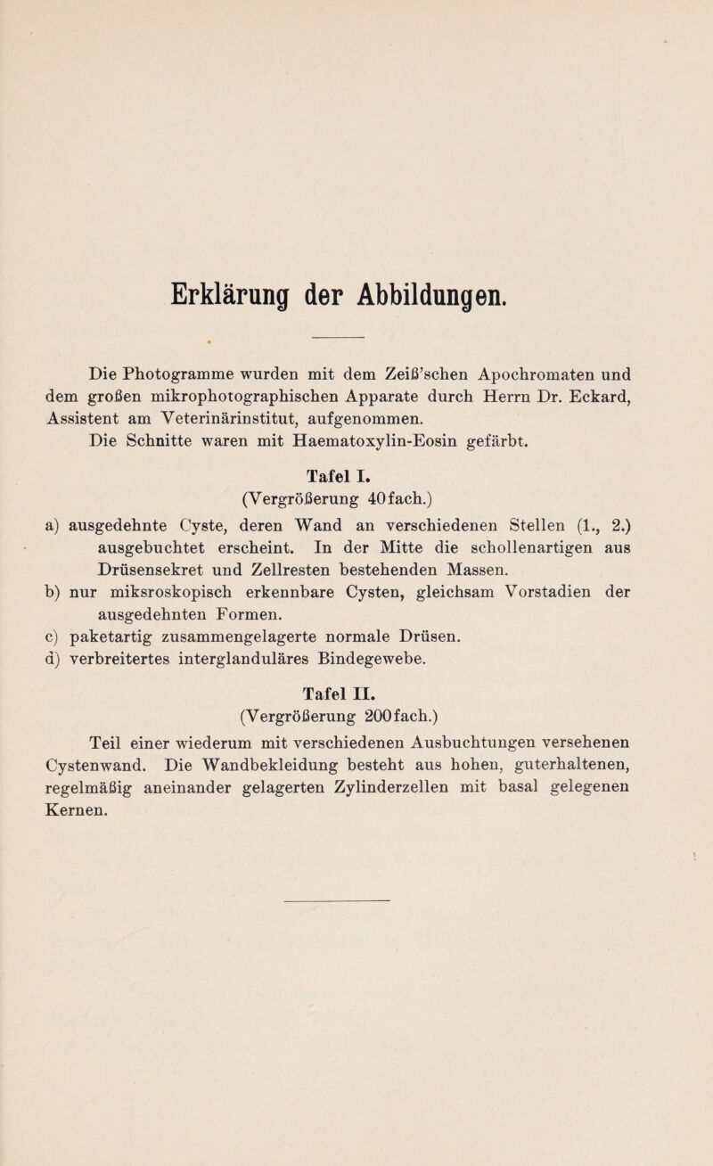 Erklärung der Abbildungen. Die Photogramme wurden mit dem Zeiß’schen Apochromaten und dem großen mikrophotographischen Apparate durch Herrn Dr. Eckard, Assistent am Veterinärinstitut, aufgenommen. Die Schnitte waren mit Haematoxylin-Eosin gefärbt. Tafel I. (Vergrößerung 40 fach.) a) ausgedehnte Cyste, deren Wand an verschiedenen Stellen (1., 2.) ausgebuchtet erscheint. In der Mitte die schollenartigen aus Drüsensekret und Zellresten bestehenden Massen. b) nur miksroskopisch erkennbare Cysten, gleichsam Vorstadien der ausgedehnten Formen. c) paketartig zusammengelagerte normale Drüsen, a) verbreitertes interglanduläres Bindegewebe. Tafel II. (Vergrößerung 200 fach.) Teil einer wiederum mit verschiedenen Ausbuchtungen versehenen Cystenwand. Die Wandbekleidung besteht aus hohen, guterhaltenen, regelmäßig aneinander gelagerten Zylinderzellen mit basal gelegenen Kernen.