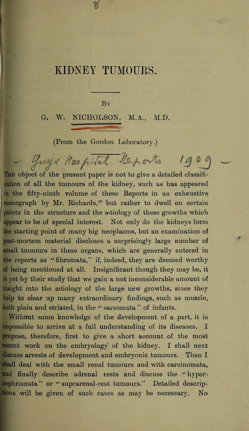 KIDNEY TUMOURS. By G. W. NICHOLSON, M.A., M.D. (From the Gordon Laboratory.) I B ' c The object of the present paper is not to give a detailed classifi¬ cation of all the tumours of the kidney, such as has appeared in the fifty-ninth volume of these Reports in an exhaustive monograph by Mr. Richards,15 but rather to dwell on certain points in the structure and the aetiology of these growths which appear to be of special interest. Not only do the kidneys form the starting point of many big neoplasms, but an examination of post-mortem material discloses a surprisingly large number of small tumours in these organs, which are generally entered in the reports as “fibromata,” if, indeed, they are deemed worthy of being mentioned at all. Insignificant though they may be, it is yet by their study that we gain a not inconsiderable amount of insight into the aetiology of the large new growths, since they help to clear up many extraordinary findings, such as muscle, both plain and striated, in the “ sarcomata” of infants. Without some knowledge of the development of a part, it is impossible to arrive at a full understanding of its diseases. I propose, therefore, first to give a short account of the most recent work on the embryology of the kidney. I shall next shall deal with the small renal tumours and with carcinomata, and finally describe adrenal rests and discuss the “ hyper- nephromata” or “suprarenal-rest tumours.” Detailed descrip¬ tions will be given of such cases as may be necessary. No /foo\ t#}