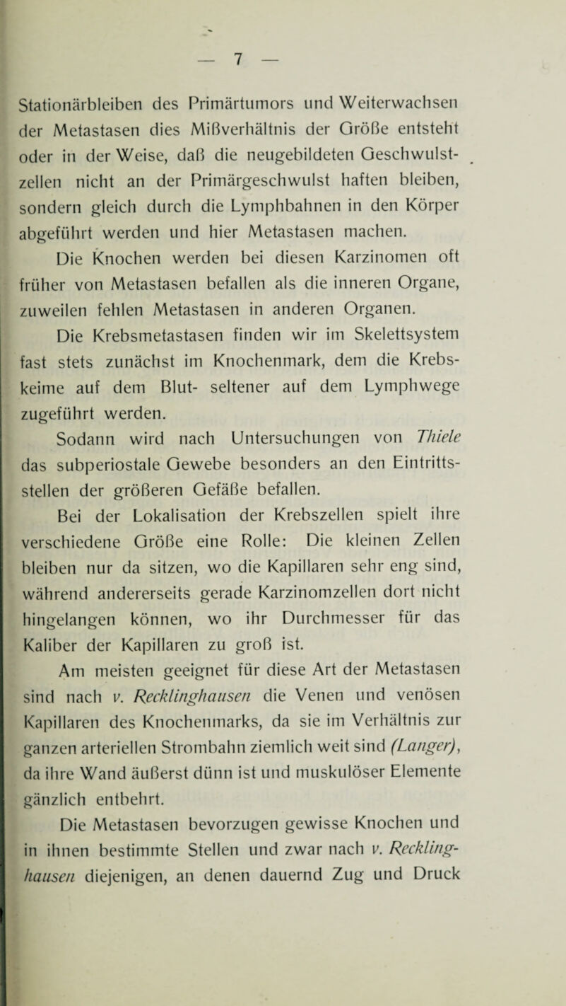 Stationärbleiben des Primärtumors und Weiterwaehsen der Metastasen dies Mißverhältnis der Größe entsteht oder in der Weise, daß die neugebildeten Geschwulst¬ zellen nicht an der Primärgeschwulst haften bleiben, sondern gleich durch die Lymphbahnen in den Körper abgeführt werden und hier Metastasen machen. Die Knochen werden bei diesen Karzinomen oft früher von Metastasen befallen als die inneren Organe, zuweilen fehlen Metastasen in anderen Organen. Die Krebsmetastasen finden wir im Skelettsystem fast stets zunächst im Knochenmark, dem die Krebs¬ keime auf dem Blut- seltener auf dem Lymphwege zugeführt werden. Sodann wird nach Untersuchungen von Thiele das subperiostale Gewebe besonders an den Eintritts¬ stellen der größeren Gefäße befallen. Bei der Lokalisation der Krebszellen spielt ihre verschiedene Größe eine Rolle: Die kleinen Zellen bleiben nur da sitzen, wo die Kapillaren sehr eng sind, während andererseits gerade Karzinomzellen dort nicht hingelangen können, wo ihr Durchmesser für das Kaliber der Kapillaren zu groß ist. Am meisten geeignet für diese Art der Metastasen sind nach v. Recklinghausen die Venen und venösen Kapillaren des Knochenmarks, da sie im Verhältnis zur ganzen arteriellen Strombahn ziemlich weit sind (Langer), da ihre Wand äußerst dünn ist und muskulöser Elemente gänzlich entbehrt. Die Metastasen bevorzugen gewisse Knochen und in ihnen bestimmte Stellen und zwar nach v. Reckling¬ hausen diejenigen, an denen dauernd Zug und Druck