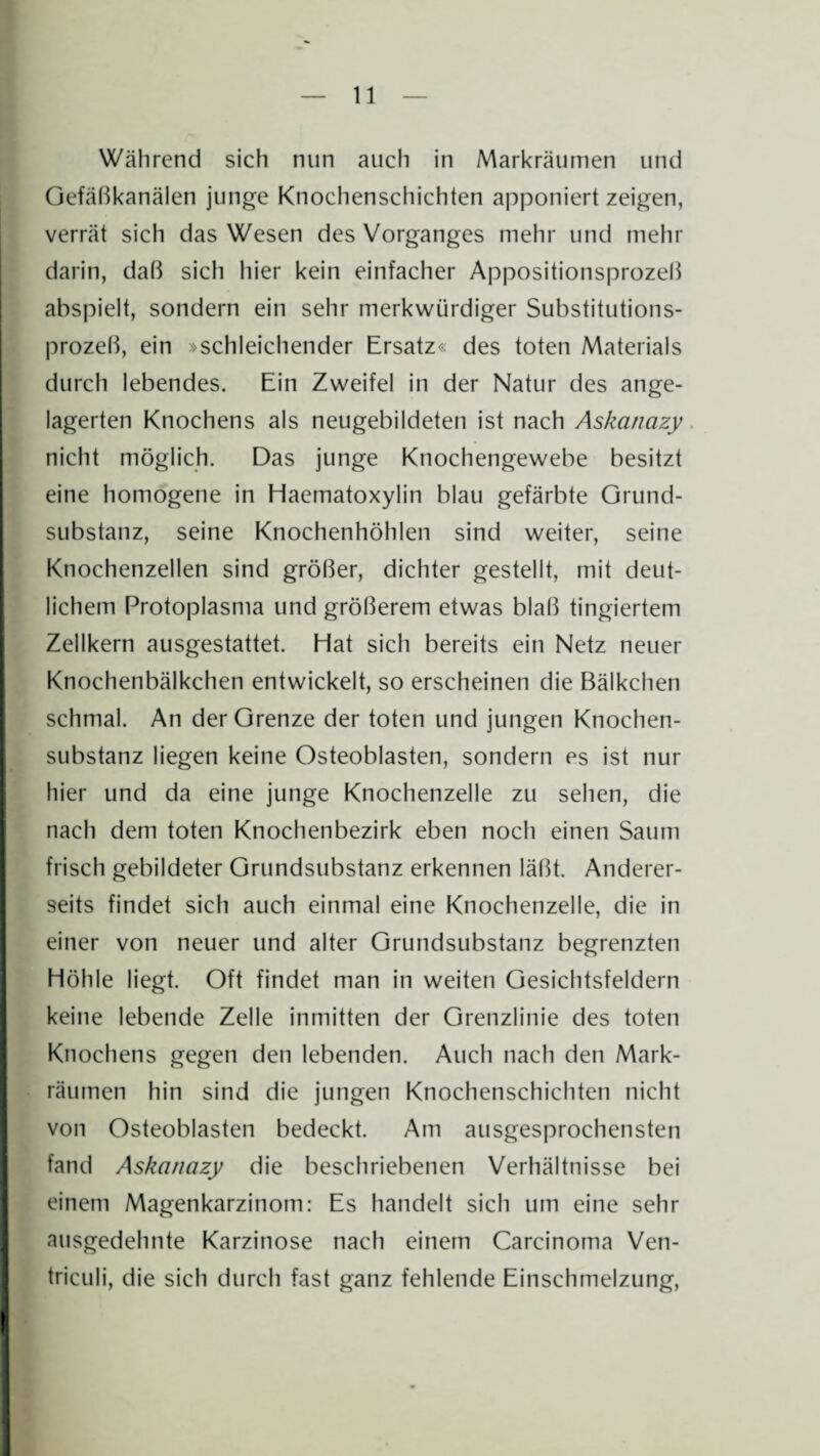 Während sich nun auch in Markräumen und Gefäßkanälen junge Knochenschichten apponiert zeigen, verrät sich das Wesen des Vorganges mehr und mehr darin, daß sich hier kein einfacher Appositionsprozeß abspielt, sondern ein sehr merkwürdiger Substitutions¬ prozeß, ein »schleichender Ersatz« des toten Materials durch lebendes. Ein Zweifel in der Natur des ange¬ lagerten Knochens als neugebildeten ist nach Askanazy nicht möglich. Das junge Knochengewebe besitzt eine homogene in Haematoxylin blau gefärbte Grund¬ substanz, seine Knochenhöhlen sind weiter, seine Knochenzellen sind größer, dichter gestellt, mit deut¬ lichem Protoplasma und größerem etwas blaß tingiertem Zellkern ausgestattet. Hat sich bereits ein Netz neuer Knochenbälkchen entwickelt, so erscheinen die Bälkchen schmal. An der Grenze der toten und jungen Knochen¬ substanz liegen keine Osteoblasten, sondern es ist nur hier und da eine junge Knochenzelle zu sehen, die nach dem toten Knochenbezirk eben noch einen Saum frisch gebildeter Grundsubstanz erkennen läßt. Anderer¬ seits findet sich auch einmal eine Knochenzelle, die in einer von neuer und alter Grundsubstanz begrenzten Höhle liegt. Oft findet man in weiten Gesichtsfeldern keine lebende Zelle inmitten der Grenzlinie des toten Knochens gegen den lebenden. Auch nach den Mark¬ räumen hin sind die jungen Knochenschichten nicht von Osteoblasten bedeckt. Am ausgesprochensten fand Askanazy die beschriebenen Verhältnisse bei einem Magenkarzinom: Es handelt sich um eine sehr ausgedehnte Karzinose nach einem Carcinoma Ven- triculi, die sich durch fast ganz fehlende Einschmelzung,