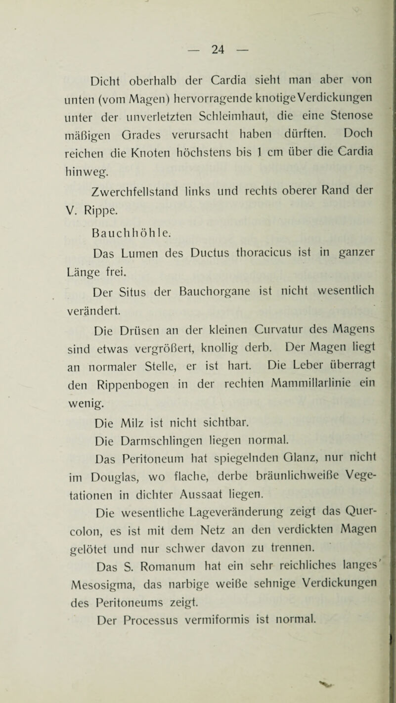 Dicht oberhalb der Cardia sieht man aber von unten (vom Magen) hervorragende knotigeVerdickungen unter der unverletzten Schleimhaut, die eine Stenose mäßigen Grades verursacht haben dürften. Doch reichen die Knoten höchstens bis 1 cm über die Cardia hinweg. Zwerchfellstand links und rechts oberer Rand der V. Rippe. Bauchhöhle. Das Lumen des Ductus thoracicus ist in ganzer Länge frei. Der Situs der Bauchorgane ist nicht wesentlich verändert. Die Drüsen an der kleinen Curvatur des Magens sind etwas vergrößert, knollig derb. Der Magen liegt an normaler Stelle, er ist hart. Die Leber überragt den Rippenbogen in der rechten Mammillarlinie ein wenig. Die Milz ist nicht sichtbar. Die Darmschlingen liegen normal. Das Peritoneum hat spiegelnden Glanz, nur nicht im Douglas, wo flache, derbe bräunlichweiße Vege¬ tationen in dichter Aussaat liegen. Die wesentliche Lageveränderung zeigt das Quer¬ colon, es ist mit dem Netz an den verdickten Magen gelötet und nur schwer davon zu trennen. Das S. Romanum hat ein sehr reichliches langes' Mesosigma, das narbige weiße sehnige Verdickungen des Peritoneums zeigt. Der Processus vermiformis ist normal.