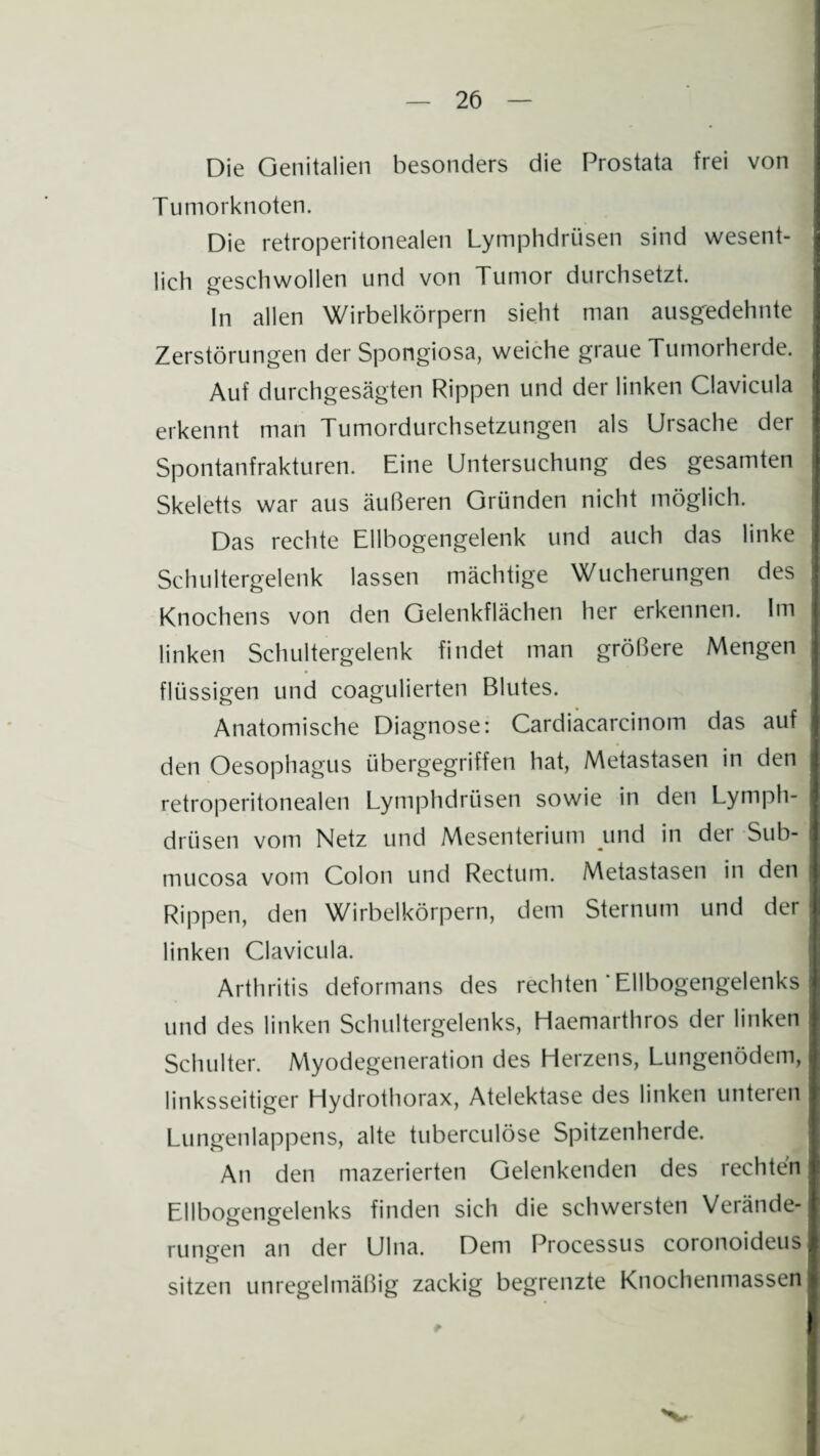 Die Genitalien besonders die Prostata frei von Tumorknoten. Die retroperitonealen Lymphdrüsen sind wesent¬ lich geschwollen und von Tumor durchsetzt. ln allen Wirbelkörpern sieht man ausgedehnte Zerstörungen der Spongiosa, weiche graue Tumorherde. Auf durchgesägten Rippen und der linken Clavicula erkennt man Tumordurchsetzungen als Ursache der Spontanfrakturen. Eine Untersuchung des gesamten Skeletts war aus äußeren Gründen nicht möglich. Das rechte Ellbogengelenk und auch das linke Schultergelenk lassen mächtige Wucherungen des Knochens von den Gelenkflächen her erkennen. Im linken Schultergelenk findet man größere Mengen flüssigen und coagulierten Blutes. Anatomische Diagnose: Cardiacarcinom das auf den Oesophagus übergegriffen hat, Metastasen in den retroperitonealen Lymphdrüsen sowie in den Lymph¬ drüsen vom Netz und Mesenterium und in der Sub- mucosa vom Colon und Rectum. Metastasen in den Rippen, den Wirbelkörpern, dem Sternum und der linken Clavicula. Arthritis deformans des rechten ' Ellbogengelenks und des linken Schultergelenks, Haemarthros der linken Schulter. Myodegeneration des Herzens, Lungenödem, linksseitiger Hydrothorax, Atelektase des linken unteren Lungenlappens, alte tuberculöse Spitzenherde. An den mazerierten Gelenkenden des rechten Ellbogengelenks finden sich die schwersten Verände¬ rungen an der Ulna. Dem Processus coronoideus sitzen unregelmäßig zackig begrenzte Knochenmassen