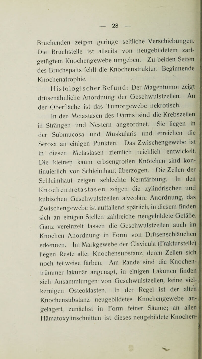 Bruchenden zeigen geringe seitliche Verschiebungen. Die Bruchstelle ist allseits von neugebildetem zart- gefiigtem Knochengewebe umgeben. Zu beiden Seiten des Bruchspalts fehlt die Knochenstruktur. Beginnende Knochenatrophie. Histologischer Befund: Der Magentumor zeigt drüsenähnliche Anordnung der Geschwulstzellen. An der Oberfläche ist das Tumorgewebe nekrotisch. In den Metastasen des Darms sind die Krebszellen in Strängen und Nestern angeordnet. Sie liegen in der Submucosa und Muskularis und erreichen die Serosa an einigen Punkten. Das Zwischengewebe ist in diesen Metastasen ziemlich reichlich entwickelt. Die kleinen kaum erbsengroßen Knötchen sind kon¬ tinuierlich von Schleimhaut überzogen. Die Zellen der Schleimhaut zeigen schlechte Kernfärbung. In den Knochenmetastasen zeigen die zylindrischen und kubischen Geschwulstzellen alveoläre Anordnung, das Zwischengewebe ist auffallend spärlich, in diesem finden sich an einigen Stellen zahlreiche neugebildete Gefäße. Ganz vereinzelt lassen die Geschwulstzellen auch im Knochen Anordnung in Form von Drüsenschläuchen erkennen. Im Markgewebe der Clavicula (Frakturstelle) liegen Reste alter Knochensubstanz, deren Zellen sich noch teilweise färben. Am Rande sind die Knochen¬ trümmer lakunär angenagt, in einigen Lakunen finden sich Ansammlungen von Geschwulstzellen, keine viel¬ kernigen Osteoklasten. In der Regel ist der alten Knochensubstanz neugebildetes Knochengewebe an¬ gelagert, zunächst in Form feiner Säume; an allen Hämatoxylinschnitten ist dieses neugebildete Knochen-