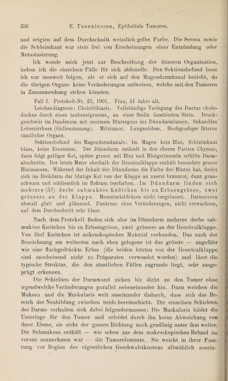 und zeigten auf dem Durchschnitt weisslich-gelbe Farbe. Die Serosa sowie die Schleimhaut war stets frei von Erscheinungen einer Entzündung oder Metastasierung. Ich wende mich jetzt zur Beschreibung der feineren Organisation, indem ich die einzelnen Fälle für sich abhandle. Den Sektionsbefund lasse ich nur insoweit folgen, als er sich auf den Magendarmkanal bezieht, da die übrigen Organe keine Veränderungen aufweisen, welche mit den Tumoren in Zusammenhang stehen könnten. Fall I. Protokoll-Nr. 23, 1901. Frau, 51 Jahre alt. Leichendiagnose: Cholelithiasis. Vollständige Verlegung des Ductus chole- dochus durch einen taubeneigrossen, an einer Stelle fazettierten Stein. Druck¬ geschwür im Duodenum mit enormem Bluterguss ins Dünndarmlumen. Sekundäre Leberzirrhose (Gallenstauung). Milztumor. Lungenödem. Hochgradiger Ikterus sämtlicher Organe. Sektionsbefund des Magendarmkanals: Im Magen kein Blut, Schleimhaut blass, keine Erosionen. Der Dünndarm enthielt in den oberen Partien Chymus, dann folgt galliger Kot, später grosse mit Blut und Blutgerinnseln erfüllte Darm¬ abschnitte. Der letzte Meter oberhalb der Ileocöcalklappe enthält besonders grosse Blutmassen. Während der Inhalt des Dünndarms die Farbe des Blutes hat, findet sich im Dickdarm der blutige Kot von der Klappe an zuerst braunrot, dann grau¬ schwarz und schliesslich im Rektum teerfarben. Im Dünndarm finden sich mehrere (5?) derbe submuköse Knötchen bis zu Erbsengrösse, zwei grössere an der Klappe. Mesenterialdrüsen nicht vergrössert. Darmserosa überall glatt und glänzend. Pankreas ohne Veränderungen, nicht verwachsen, auf dem Durchschnitt sehr blass. Nach dem Protokoll finden sich also im Dünndarm mehrere derbe sub¬ muköse Knötchen bis zu Erbsengrösse, zwei grössere an der Ileocöcalklappe. Von fünf Knötchen ist mikroskopisches Material vorhanden. Das nach der Bezeichnung am weitesten nach oben gelegene ist das grösste — ungefähr wie eine flachgedrückte Erbse (die beiden letzten von der Ileocöcalklappe sind anscheinend nicht zu Präparaten verwendet worden) und lässt die typische Struktur, die den sämtlichen Fällen zugrunde liegt, sehr ausge¬ prägt erkennen. Die Schichten der Darmwand ziehen bis dicht an den Tumor ohne irgendwelche Veränderungen parallel nebeneinander hin. Dann weichen die Mukosa und die Muskularis weit auseinander dadurch, dass sich das Be¬ reich der Neubildung zwischen beide hereinschiebt. Die einzelnen Schichten des Darms verhalten sich dabei folgendermassen: Die Muskularis bildet die Unterlage für den Tumor und erleidet durch ihn keine Abweichung von ihrer Ebene, sie zieht der ganzen Richtung nach gradlinig unter ihm weiter. Die Submukosa enthält — wie schon aus dem makroskopischen Befund im voraus anzunehmen war — die Tumorelemente. Sie weicht in ihrer Fase¬ rung vor Beginn des eigentlichen Geschwulstknotens allmählich ausein-