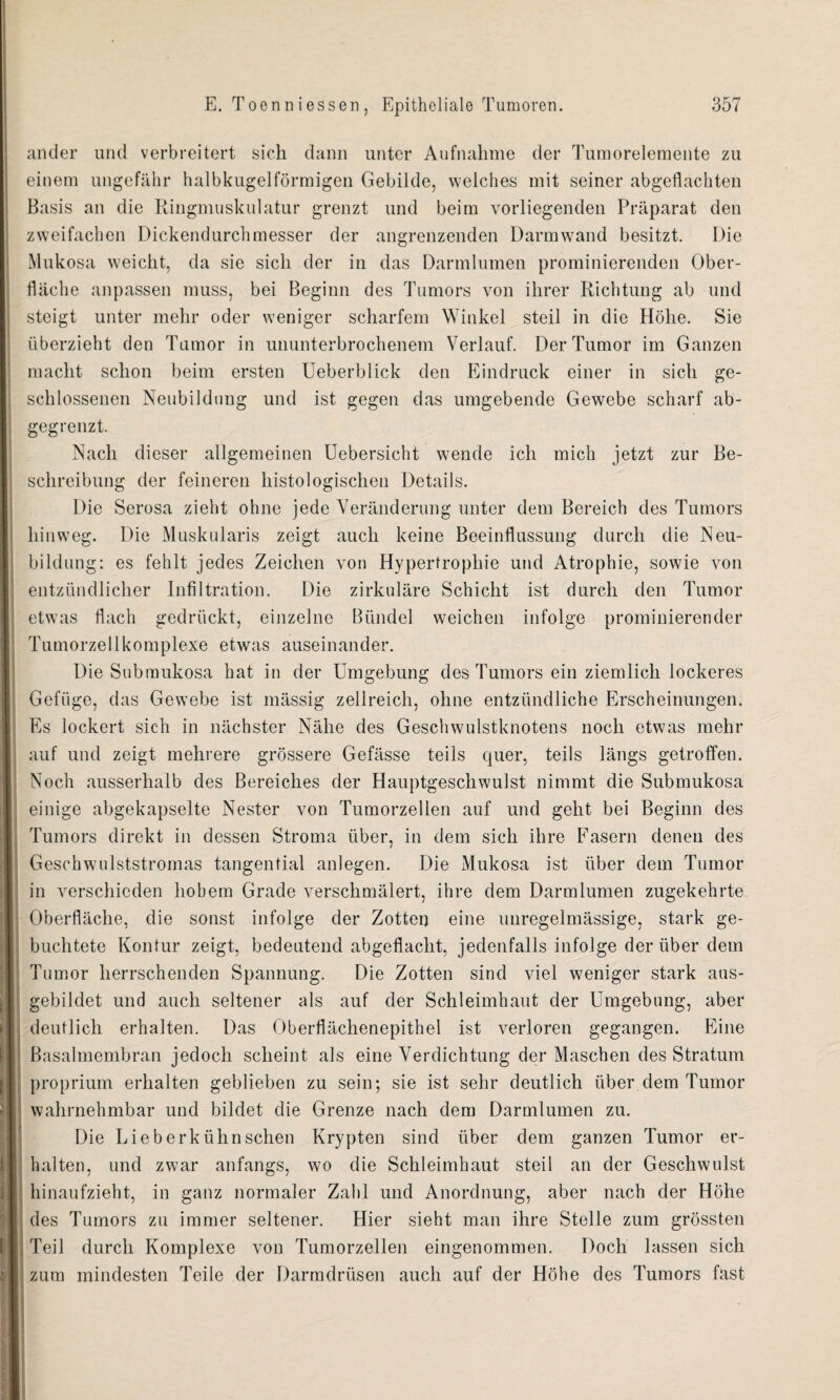ander und verbreitert sich dann unter Aufnahme der Tumorelemente zu einem ungefähr halbkugelförmigen Gebilde, welches mit seiner abgeflachten Basis an die Ringmuskulatur grenzt und beim vorliegenden Präparat den zweifachen Dickendurchmesser der angrenzenden Darmwand besitzt. Die Mukosa weicht, da sie sich der in das Darmlumen prominierenden Ober¬ fläche anpassen muss, bei Beginn des Tumors von ihrer Richtung ab und steigt unter mehr oder weniger scharfem Winkel steil in die Höhe. Sie überzieht den Tumor in ununterbrochenem Verlauf. Der Tumor im Ganzen macht schon beim ersten Ueberblick den Eindruck einer in sich ge¬ schlossenen Neubildung und ist gegen das umgebende Gewebe scharf ab¬ gegrenzt. Nach dieser allgemeinen Uebersicht wende ich mich jetzt zur Be¬ schreibung der feineren histologischen Details. Die Serosa zieht ohne jede Veränderung unter dem Bereich des Tumors hinweg. Die Muskularis zeigt auch keine Beeinflussung durch die Neu¬ bildung: es fehlt jedes Zeichen von Hypertrophie und Atrophie, sowie von entzündlicher Infiltration. Die zirkuläre Schicht ist durch den Tumor etwas flach gedrückt, einzelne Bündel weichen infolge prominierender Tumorzellkomplexe etwas auseinander. Die Submukosa hat in der Umgebung des Tumors ein ziemlich lockeres Gefüge, das Gewebe ist massig zellreich, ohne entzündliche Erscheinungen. Es lockert sich in nächster Nähe des Geschwulstknotens noch etwas mehr auf und zeigt mehrere grössere Gefässe teils quer, teils längs getroffen. Noch ausserhalb des Bereiches der Hauptgeschwulst nimmt die Submukosa einige abgekapselte Nester von Tumorzellen auf und geht bei Beginn des Tumors direkt in dessen Stroma über, in dem sich ihre Fasern denen des Geschwulststromas tangential anlegen. Die Mukosa ist über dem Tumor in verschieden hohem Grade verschmälert, ihre dem Darmlumen zugekehrte Oberfläche, die sonst infolge der Zotten eine unregelmässige, stark ge¬ buchtete Kontur zeigt, bedeutend abgeflacht, jedenfalls infolge der über dem Tumor herrschenden Spannung. Die Zotten sind viel weniger stark aus¬ gebildet und auch seltener als auf der Schleimhaut der Umgebung, aber deutlich erhalten. Das Oberflächenepithel ist verloren gegangen. Eine Basalmembran jedoch scheint als eine Verdichtung der Maschen des Stratum proprium erhalten geblieben zu sein; sie ist sehr deutlich über dem Tumor wahrnehmbar und bildet die Grenze nach dem Darmlumen zu. Die Lieb erkühn sehen Krypten sind über dem ganzen Tumor er¬ halten, und zwar anfangs, wo die Schleimhaut steil an der Geschwulst hinaufzieht, in ganz normaler Zahl und Anordnung, aber nach der Höhe des Tumors zu immer seltener. Hier sieht man ihre Stelle zum grössten Teil durch Komplexe von Tumorzellen eingenommen. Doch lassen sich zum mindesten Teile der Darmdrüsen auch auf der Höhe des Tumors fast