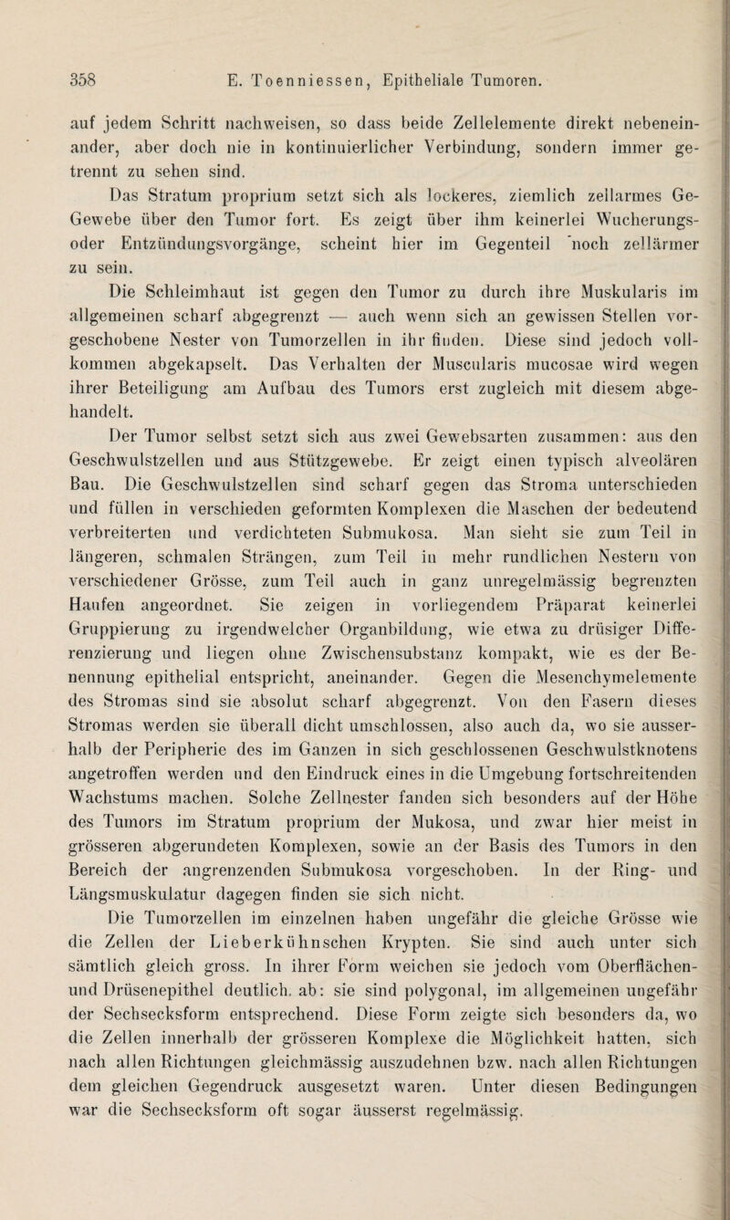 auf jedem Schritt nachweisen, so dass beide Zellelemente direkt nebenein¬ ander, aber doch nie in kontinuierlicher Verbindung, sondern immer ge¬ trennt zu sehen sind. Das Stratum proprium setzt sich als lockeres, ziemlich zellarmes Ge- Gewebe über den Tumor fort. Es zeigt über ihm keinerlei Wucherungs¬ oder Entzündungsvorgänge, scheint hier im Gegenteil noch zellärmer zu sein. Die Schleimhaut ist gegen den Tumor zu durch ihre Muskularis im allgemeinen scharf abgegrenzt — auch wenn sich an gewissen Stellen vor¬ geschobene Nester von Tumorzellen in ihr finden. Diese sind jedoch voll¬ kommen abgekapselt. Das Verhalten der Muscularis mucosae wird wegen ihrer Beteiligung am Aufbau des Tumors erst zugleich mit diesem abge¬ handelt. Der Tumor selbst setzt sich aus zwei Gewebsarten zusammen: aus den Geschwulstzellen und aus Stützgewebe. Er zeigt einen typisch alveolären Bau. Die Geschwulstzellen sind scharf gegen das Stroma unterschieden und füllen in verschieden geformten Komplexen die Maschen der bedeutend verbreiterten und verdichteten Submukosa. Man sieht sie zum Teil in längeren, schmalen Strängen, zum Teil in mehr rundlichen Nestern von verschiedener Grösse, zum Teil auch in ganz unregelmässig begrenzten Haufen angeordnet. Sie zeigen in vorliegendem Präparat keinerlei Gruppierung zu irgendwelcher Organbildung, wie etwa zu drüsiger Diffe¬ renzierung und liegen ohne Zwischensubstanz kompakt, wie es der Be¬ nennung epithelial entspricht, aneinander. Gegen die Mesenchymelemente des Stromas sind sie absolut scharf abgegrenzt. Von den Fasern dieses Stromas werden sie überall dicht umschlossen, also auch da, wo sie ausser¬ halb der Peripherie des im Ganzen in sich geschlossenen Geschwulstknotens angetroffen werden und den Eindruck eines in die Umgebung fortschreitenden Wachstums machen. Solche Zellnester fanden sich besonders auf der Höhe des Tumors im Stratum proprium der Mukosa, und zwar hier meist in grösseren abgerundeten Komplexen, sowie an der Basis des Tumors in den Bereich der angrenzenden Submukosa vorgeschoben. In der Ring- und Längsmuskulatur dagegen finden sie sich nicht. Die Tumorzellen im einzelnen haben ungefähr die gleiche Grösse wie die Zellen der Lieberkiihuschen Krypten. Sie sind auch unter sich sämtlich gleich gross. In ihrer Form weichen sie jedoch vom Oberflächen- und Drüsenepithel deutlich, ab: sie sind polygonal, im allgemeinen ungefähr der Sechsecksform entsprechend. Diese Form zeigte sich besonders da, wo die Zellen innerhalb der grösseren Komplexe die Möglichkeit hatten, sich nach allen Richtungen gleichmässig auszudehnen bzw. nach allen Richtungen dem gleichen Gegendruck ausgesetzt waren. Unter diesen Bedingungen war die Sechsecksform oft sogar äusserst regelmässig.