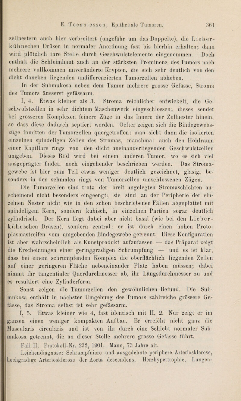 zellnestern auch liier verbreitert (ungefähr um das Doppelte), die Lieb er¬ kühn sehen Drüsen in normaler Anordnung fast bis hierhin erhalten; dann wird plötzlich ihre Stelle durch Gescliwulstelemente eingenommen. Doch enthält die Schleimhaut auch an der stärksten Prominenz des Tumors noch mehrere vollkommen unveränderte Krypten, die sich sehr deutlich von den dicht daneben liegenden undifferenzierten Tumorzellen abheben. In der Submukosa neben dem Tumor mehrere grosse Gefässe, Stroma des Tumors äusserst gefässarm. I, 4. Etwas kleiner als 3. Stroma reichlicher entwickelt, die Ge- schwulstzellen in sehr dichtem Maschenwerk eingesclilossen; dieses sendet bei grösseren Komplexen feinere Züge in das Innere der Zellnester hinein, so dass diese dadurch septiert werden. Oefter zeigen sich die Bindegewebs- ziige inmitten der Tumorzellen quergetroffen: man sieht dann die isolierten einzelnen spindeligen Zellen des Stromas, manchmal auch den Hohlraum einer Kapillare rings von den dicht aneinanderliegenden Geschwulstzellen umgeben. Dieses Bild wird bei einem anderen Tumor, wo es sich viel ausgeprägter findet, noch eingehender beschrieben werden. Das Stroma¬ gewebe ist hier zum Teil etwas weniger deutlich gezeichnet, glasig, be¬ sonders in den schmalen rings von Tumorzellen umschlossenen Zügen. Die Tumorzellen sind trotz der breit angelegten Stromaschichten an¬ scheinend nicht besonders eingeengt; sie sind an der Peripherie der ein¬ zelnen Nester nicht wie in den schon beschriebenen Fällen abgeplattet mit spindeligem Kern, sondern kubisch, in einzelnen Partien sogar deutlich zylindrisch. Der Kern liegt dabei aber nicht basal (wie bei den Lieb er¬ kühn sehen Drüsen), sondern zentral: er ist durch einen hohen Proto¬ plasmastreifen vom umgebenden Bindegewebe getrennt. Diese Konfiguration ist aber wahrscheinlich als Kunstprodukt aufzufassen — das Präparat zeigt die Erscheinungen einer geringgradigen Schrumpfung — und es ist klar, dass bei einem schrumpfenden Komplex die oberflächlich liegenden Zellen auf einer geringeren Fläche nebeneinander Platz haben müssen; dabei nimmt ihr tangentialer Querdurchmesser ab, ihr Längsdurchmesser zu und es resultiert eine Zylinderform. Sonst zeigen die Tumorzellen den gewöhnlichen Befund. Die Sub¬ mukosa enthält in nächster Umgebung des Tumors zahlreiche grössere Ge¬ fässe, das Stroma selbst ist sehr gefässarm. I, 5. Etwas kleiner wie 4, fast identisch mit II, 2. Nur zeigt er im ganzen einen weniger kompakten Aufbau. Er erreicht nicht ganz die Muscularis circularis und ist von ihr durch eine Schicht normaler Sub¬ mukosa getrennt, die an dieser Stelle mehrere grosse Gefässe führt. Fall II. Protokoll-Nr. 232, 1901. Mann, 73 Jahre alt. Leichendiagnose: Schrumpfniere und ausgedehnte periphere Arteriosklerose, hochgradige Arteriosklerose der Aorta descendens. Herzhypertrophie. Lungen-