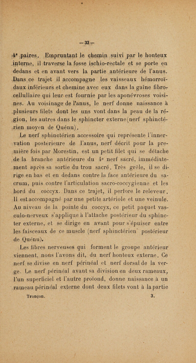 -33 — 4e paires. Empruntant le chemin suivi par le honteux interne, il traverse la fosse ischio-rectale et se porte en dedans et en avant vers la partie antérieure de l’anus. Dans ce trajet il accompagne les vaisseaux hémorroï¬ daux inférieurs et chemine avec eux dans la gaine fibror cellullaire qui leur est fournie par les aponévroses voisi¬ nes. Au voisinage de l’anus, le nerf donne naissance à plusieurs filets dont les uns vont dans la peau de la ré¬ gion, les autres dans le sphincter externe (nerf sphincté¬ rien moyen de Quénu). Le nerf sphinctérien accessoire qui représente l'inner¬ vation postérieure de l'anus, nerf décrit pour la pre¬ mière fois par Morestin, est un petit filet qui se détache de la branche antérieure du 4e nerf sacré, immédiate¬ ment après sa sortie du trou sacré. Très grêle, il se di¬ rige en bas et en dedans contre la face antérieure du sa¬ crum, puis contre l’articulation sacro-coccygienne et les bord du coccyx. Dans ce trajet, il perfore le releveur. Il est accompagné par une petite artériole et une veinule. Au niveau de la pointe du coccyx, ce petit paquet vas- culo-nerveux s’appliquer l’attache postérieur du sphinc¬ ter externe, et se dirige en avant pour s'épuiser entre les faisceaux de ce muscle (nerf sphinctérien' postérieur de Quénu). Les fibres nerveuses qui forment le groupe antérieur viennent, nous l'avons dit, du nerf honteux externe. Ce nerf se divise en nerf périnéal et nerf dorsal de la ver¬ ge. Le nerf périnéal avant sa division en deux rameaux, Lun superficiel et l’autre profond, donne naissance à un rameau périnéal externe dont deux filets vont à la partie