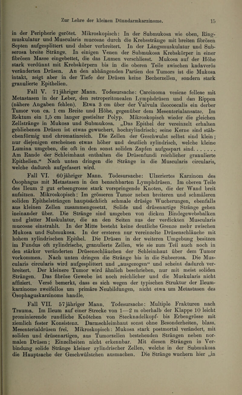 in der Peripherie gerötet. Mikroskopisch: In der Submukosa wie oben, Ring¬ muskulatur und Muscularis mucosae durch die Krebsstränge mit breiten fibrösen Septen aufgesplittert und daher verbreitert. In der Längsmuskulatur und Sub- serosa breite Stränge. In einigen Venen der Submukosa Krebskörper in einer fibrösen Masse eingebettet, die das Lumen verschliesst. Mukosa auf der Höhe stark verdünnt mit Krebskörpern bis in die oberen Teile zwischen kadaverös veränderten Drüsen. An den abhängenden Partien des Tumors ist die Mukosa intakt, zeigt aber in der Tiefe der Drüsen keine Becherzellen, sondern stark granulierte Epithelien. Fall V. 71 jähriger Mann. Todesursache: Carcinoma vesicae felleae mit Metastasen in der Leber, den retroperitonealen Lymphdrüsen und den Rippen (nähere Angaben fehlen). Etwa 3 cm über der Valvula ileocoecalis ein derber Tumor von ca. 1 cm Breite und Höhe, gegenüber dem Mesenterialansatze. Im Rektum ein 1,5 cm langer gestielter Polyp. Mikroskopisch wieder die gleichen Zellstränge in Mukosa und Submukosa. „Das Epithel der vereinzelt erhalten gebliebenen Drüsen ist etwas gewuchert, hochzylindrisch; seine Kerne sind stäb¬ chenförmig und chromatinreich. Die Zellen der Geschwulst selbst sind klein; nur diejenigen erscheinen etwas höher und deutlich zylindrisch, welche kleine Lumina umgeben, die oft in den sonst soliden Zapfen aufgespart sind. Am Rande der Schleimhaut enthalten die Drüsenfundi reichlicher granulierte Epithelien.“ Nach unten dringen die Stränge in die Muscularis circularis, welche dadurch aufgefasert wird. Fall VI. 60jähriger Mann. Todesursache: Ulzeriertes Karzinom des Ösophagus mit Metastasen in den benachbarten Lymphdrüsen. Im oberen Teile des Ileum 2 gut erbsengrosse stark vorspringende Knoten, die der Wand breit aufsitzen. Mikroskopisch: Im grösseren Tumor neben breiteren und schmäleren soliden Epithelsträngen hauptsächlich schmale drüsige Wucherungen, ebenfalls aus kleinen Zellen zusammengesetzt. Solide und drüsenartige Stränge gehen ineinander über. Die Stränge sind umgeben von dicken Bindegewebsbalken und glatter Muskulatur, die an den Seiten aus der verdickten Muscularis mucosae einstrahlt. In der Mitte besteht keine deutliche Grenze mehr zwischen Mukosa und Submukosa. In der ersteren nur vereinzelte Drüsenschläuche mit hohem zylindrischen Epithel. Die Drüsen in der weiteren Umgebung besitzen im Fundus oft zylindrische, granulierte Zellen, wie sie zum Teil auch noch in den stärker veränderten Drüsenschläuchen der Schleimhaut über dem Tumor Vorkommen. Nach unten dringen die Stränge bis in die Subserosa. Die Mus¬ cularis circularis wird aufgesplittert und „ausgezogen“ und scheint dadurch ver¬ breitert. Der kleinere Tumor wird ähnlich beschrieben, nur mit meist soliden Strängen. Das fibröse Gewebe ist noch reichlicher und die Muskularis nicht affiziert. Verse bemerkt, dass es sich wegen der typischen Struktur der Ileum- karzinome zweifellos um primäre Neubildungen, nicht etwa um Metastasen des Ösophaguskarzinoms handle. Fall VII. 57jähriger Mann. Todesursache: Multiple Frakturen nach Trauma. Im Ileum auf einer Strecke von 1—2 m oberhalb der Klappe 10 leicht prominierende rundliche Knötchen von Stecknadelkopf- bis Erbengrösse mit ziemlich fester Konsistenz. Darmschleimhaut sonst ohne Besonderheiten, blass. Mesenterialdrüsen frei. Mikroskopisch: Mukosa stark postmortal verändert, mit soliden und drüsenartigen, aus Tumorzellen bestehenden Strängen neben nor¬ malen Drüsen; Einzelheiten nicht erkennbar. Mit diesen Strängen in Ver¬ bindung solide Stränge kleiner zylindrischer Zellen, welche in der Submukosa die Hauptsache der Gesell wülstchen ausmachen. Die Stränge wuchern hier „in