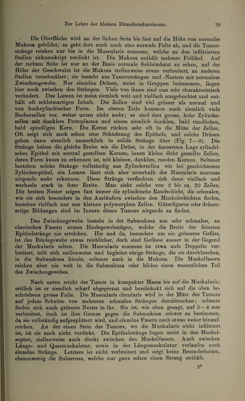 Die Oberfläche wird an der linken Seite bis fast auf die Höhe von normaler Mukosa gebildet; es geht dort auch noch eine normale Falte ab, und die Tumor¬ stränge reichen nur bis in die Muscularis mucosae, welche an den infiltrierten Stellen zirkumskript verdickt ist. Die Mukosa enthält mehrere Follikel. Auf der rechten Seite ist nur an der Basis normale Schleimhaut zu sehen, auf der Höhe der Geschwulst ist die Mukosa stellenweise etwas verbreitert, an anderen Stellen verschmälert; sie besteht aus Tumorsträngen und -Nestern mit normalem Zwischengewebe. Nur einzelne Drüsen, meist in Gruppen beisammen, liegen hier noch zwischen den Strängen. Viele von ihnen sind nun sehr charakteristisch verändert. Das Lumen ist meist ziemlich weit und vielfach ausgebuchtet und ent¬ hält oft schleimartigen Inhalt. Die Zellen sind viel grösser als normal und von hochzylindrischer Form. Im oberen Teile kommen noch ziemlich viele Becherzellen vor, weiter unten nicht mehr; es sind dort grosse, hohe Zylinder¬ zellen mit dunklem Protoplasma und einem ziemlich dunklen, bald rundlichen, bald spindligen Kern. Die Kerne rücken sehr oft in die Mitte der Zellen. Oft zeigt sich auch schon eine Schichtung des Epithels, und solche Drüsen gehen dann ziemlich unmerklich in solide Stränge über (Fig. 7—9). Die Stränge haben die gleiche Breite wie die Drüse, in der äussersten Lage zylindri¬ sches Epithel mit zentral gestellten Kernen, innen kleine dicht gestellte Zellen, deren Form kaum zu erkennen ist, mit kleinen, dunklen, runden Kernen. Seltener bestehen solche Stränge vollständig aus Zylinderzellen wie bei geschichtetem Zylinderepithel, ein Lumen lässt sich aber unterhalb der Muscularis mucosae nirgends mehr erkennen. Diese Stränge verflechten sich dann vielfach und wechseln stark in ihrer Breite. Man sieht solche von 2 bis ca. 20 Zellen. Die breiten Nester zeigen fast immer die zylindrische Randschicht, die schmalen, wie sie sich besonders in den Ausläufern zwischen den Muskelschichten finden, bestehen vielfach nur aus kleinen polymorphen Zellen. Gitterfiguren oder drüsen¬ artige Bildungen sind im Innern dieses Tumors nirgends zu finden. Das Zwischengewebe besteht in der Submukosa aus sehr schmalen, an elastischen Fasern armen Bindegewebszügen, welche die Breite der feinsten Epithelstränge nie erreichen. Hie und da, besonders um ein grösseres Gefäss, ist das Bindegewebe etwas reichlicher, doch sind Gefässe ausser in der Gegend der Muskularis selten. Die Muscularis mucosae ist etwa aufs Doppelte ver¬ breitert, teilt sich stellenweise und begleitet einige Stränge, die sie durchbrechen, in die Submukosa hinein, seltener auch in die Mukosa. Die Muskelfasern reichen aber nie weit in die Submukosa oder bilden einen wesentlichen Teil des Zwischengewebes. Nach unten reicht der Tumor in kompakter Masse bis auf die Muskularis; seitlich ist er ziemlich scharf abgegrenzt und beschränkt sich auf die oben be¬ schriebene grosse Falte. Die Muscularis circularis wird in der Mitte des Tumors auf jedem Schnitte von mehreren schmalen Strängen durchbrochen; seltener finden sich auch grössere Nester in ihr. Sie ist, wie oben gesagt, auf 3 — 4 mm verbreitert, doch ist ihre Grenze gegen die Submukosa schwer zu bestimmen, da sie vollständig aufgesplittert wird, und einzelne Fasern noch etwas weiter hinauf- reicben. An der einen Seite des Tumors, wo die Muskularis nicht infiltriert ist, ist sie auch nicht verdickt. Die Epithelstränge liegen meist in den Muskel- septen, stellenweise auch direkt zwischen den Muskelfasern. Auch zwischen Längs- und Quermuskulatur, sowie in der Längsmuskulatur verlaufen noch einzelne Stränge. Letztere ist nicht verbreitert und zeigt keine Besonderheiten, ebensowenig die Subserosa, welche nur ganz selten einen Strang enthält. 2*