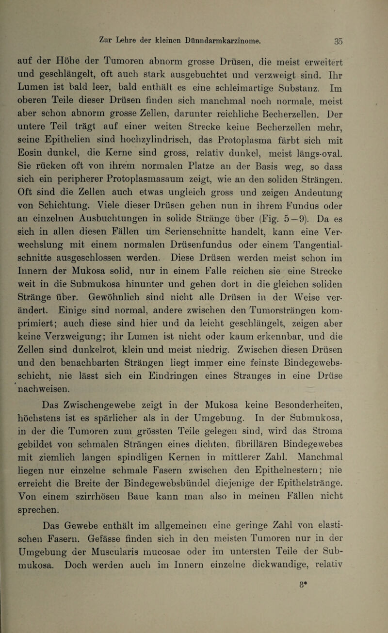 auf der Höhe der Tumoren abnorm grosse Drüsen, die meist erweitert und geschlängelt, oft auch stark ausgebuchtet und verzweigt sind. Ihr Lumen ist bald leer, bald enthält es eine schleimartige Substanz. Im oberen Teile dieser Drüsen finden sich manchmal noch normale, meist aber schon abnorm grosse Zellen, darunter reichliche Becherzellen. Der untere Teil trägt auf einer weiten Strecke keine Becherzellen mehr, seine Epithelien sind hoch zylindrisch, das Protoplasma färbt sich mit Eosin dunkel, die Kerne sind gross, relativ dunkel, meist längs-oval. Sie rücken oft von ihrem normalen Platze an der Basis weg, so dass sich ein peripherer Protoplasmasaum zeigt, wie an den soliden Strängen. Oft sind die Zellen auch etwas ungleich gross und zeigen Andeutung von Schichtung. Viele dieser Drüsen gehen nun in ihrem Fundus oder an einzelnen Ausbuchtungen in solide Stränge über (Fig. 5 — 9). Da es sich in allen diesen Fällen um Serienschnitte handelt, kann eine Ver¬ wechslung mit einem normalen Drüsenfundus oder einem Tangential¬ schnitte ausgeschlossen werden. Diese Drüsen werden meist schon im Innern der Mukosa solid, nur in einem Falle reichen sie eine Strecke weit in die Submukosa hinunter und gehen dort in die gleichen soliden Stränge über. Gewöhnlich sind nicht alle Drüsen in der Weise ver¬ ändert. Einige sind normal, andere zwischen den Tumorsträngen kom¬ primiert; auch diese sind hier und da leicht geschlängelt, zeigen aber keine Verzweigung; ihr Lumen ist nicht oder kaum erkennbar, und die Zellen sind dunkelrot, klein und meist niedrig. Zwischen diesen Drüsen und den benachbarten Strängen liegt immer eine feinste Bindegewebs- schicht, nie lässt sich ein Eindringen eines Stranges in eine Drüse nachweisen. Das Zwischengewebe zeigt in der Mukosa keine Besonderheiten, höchstens ist es spärlicher als in der Umgebung. In der Submukosa, in der die Tumoren zum grössten Teile gelegen sind, wird das Stroma gebildet von schmalen Strängen eines dichten, fibrillären Bindegewebes mit ziemlich langen spindligen Kernen in mittlerer Zahl. Manchmal liegen nur einzelne schmale Fasern zwischen den Epithelnestern; nie erreicht die Breite der Bindegewebsbündel diejenige der Epithelstränge. Von einem szirrhösen Baue kann man also in meinen Fällen nicht sprechen. Das Gewebe enthält im allgemeinen eine geringe Zahl von elasti¬ schen Fasern. Gefässe finden sich in den meisten Tumoren nur in der Umgebung der Muscularis mucosae oder im untersten Teile der Sub¬ mukosa. Doch werden auch im Innern einzelne dickwandige, relativ 3*