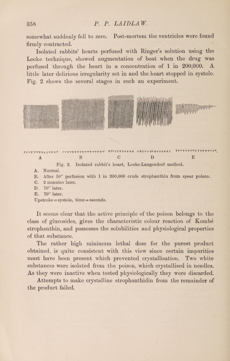 somewhat suddenly fell to zero. Post-mortem the ventricles were found firmly contracted. Isolated rabbits’ hearts perfused with Ringer’s solution using the Locke technique, showed augmentation of beat when the drug was perfused through the heart in a concentration of 1 in 200,000. A little later delirious irregularity set in and the heart stopped in systole. Fig. 2 shows the several stages in such an experiment. t 4 i t't'i' t|j l> (tH- A -H I t-t t-i t r-r rtt-t-t-n-i-t B CD t h t j f E % Fig. 2. Isolated rabbit’s heart, Locke-Langendorf method. A. Normal. B. After 50 perfusion with 1 in 200,000 crude strophanthin from spear poison. C. 2 minutes later. D. 70 later. E. 70 later. Upstroke = systole, time = seconds. It seems clear that the active principle of the poison belongs to the class of glucosides, gives the characteristic colour reaction of Kombe strophanthin, and possesses the solubilities and physiological properties of that substance. The rather high minimum lethal dose for the purest product obtained, is quite consistent with this view since certain impurities must have been present which prevented crystallisation. Two white substances were isolated from the poison, which crystallised in needles. As they were inactive when tested physiologically they were discarded. Attempts to make crystalline strophanthidin from the remainder of the product failed.