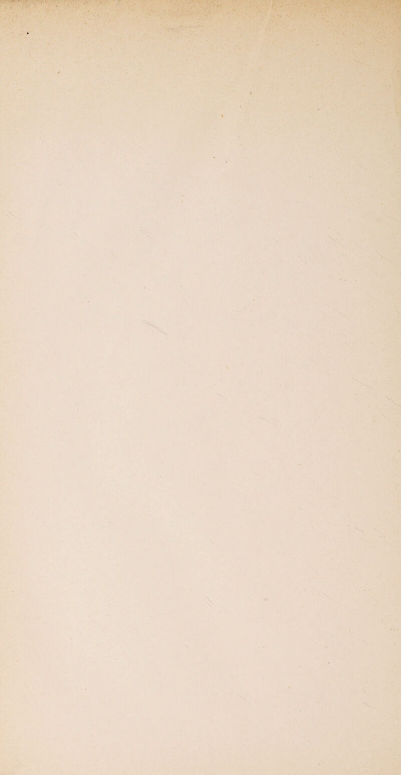 ,.v> X ■1 f ; ■4-• ' n - V V kV 71^ . s- •t 1. '' • i*. * ■ * V' •' ■4.' ■ ^ * V , ?- . - /■ 1.; v»