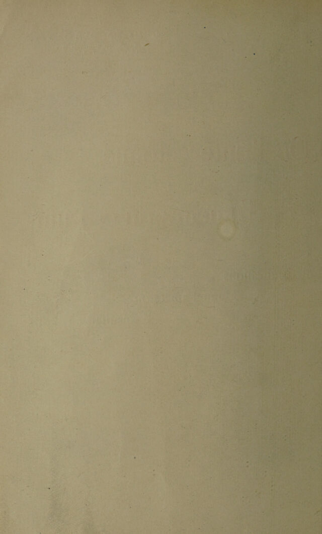 digitised image 2