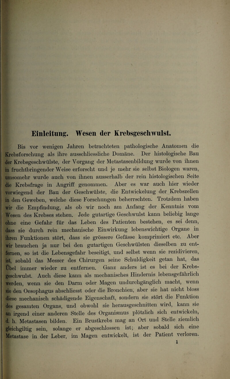 Einleitung. Wesen der Krebsgeschwulst. Bis vor wenigen Jahren betrachteten pathologische Anatomen die Krebsforschung als ihre ausschliessliche Domäne. Der histologische Bau der Krebsgeschwülste, der Vorgang der Metastasenbildung wurde von ihnen in fruchtbringenderWeise erforscht und je mehr sie selbst Biologen waren, umsomehr wurde auch von ihnen ausserhalb der rein histologischen Seite die Krebsfrage in Angriff genommen. Aber es war auch hier wieder vorwiegend der Bau der Geschwülste, die Entwickelung der Krebszellen in den Geweben, welche diese Forschungen beherrschten. Trotzdem haben wir die Empfindung, als ob wir noch am Anfang der Kenntnis vom Wesen des Krebses stehen. Jede gutartige Geschwulst kann beliebig lange ohne eine Gefahr für das Leben des Patienten bestehen, es sei denn, dass sie durch rein mechanische Einwirkung lebenswichtige Organe in ihren Funktionen stört, dass sie grössere Gefässe komprimiert etc. Aber wir brauchen ja nur bei den gutartigen Geschwülsten dieselben zu ent¬ fernen, so ist die Lebensgefahr beseitigt, und selbst wenn sie rezidivieren, ist, sobald das Messer des Chirurgen seine Schuldigkeit getan hat, das Übel immer wieder zu entfernen. Ganz anders ist es bei der Krebs¬ geschwulst. Auch diese kann als mechanisches Hindernis lebensgefährlich werden, wenn sie den Darm oder Magen undurchgänglich macht, wenn sie den Oesophagus abschliesst oder die Bronchien, aber sie hat nicht bloss diese mechanisch schädigende Eigenschaft, sondern sie stört die Funktion des gesamten Organs, und obwohl sie herausgeschnitten wird, kann sie an irgend einer anderen Stelle des Organismus plötzlich sich entwickeln, d. h. Metastasen bilden. Ein Brustkrebs mag an Ort und Stelle ziemlich gleichgiltig sein, solange er abgeschlossen ist; aber sobald sich eine Metastase in der Leber, im Magen entwickelt, ist der Patient verloren.