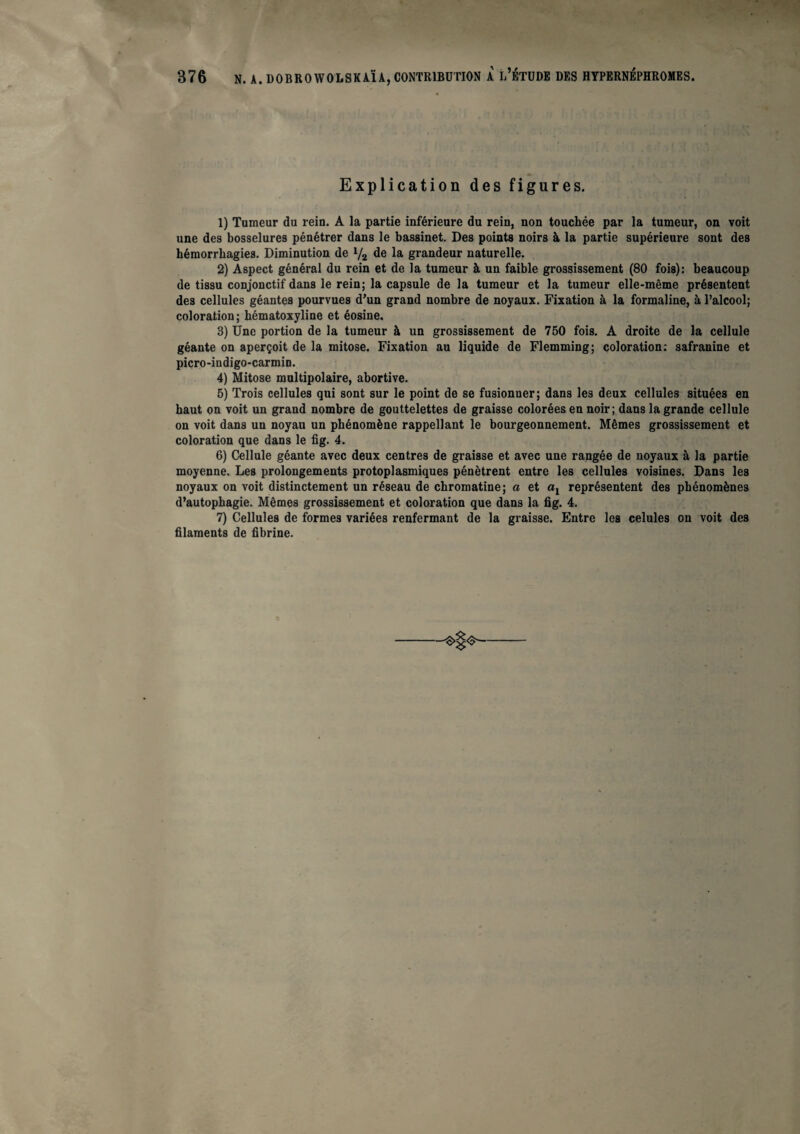 Explication des figures. 1) Tumeur du rein. A la partie inférieure du rein, non touchée par la tumeur, on voit une des bosselures pénétrer dans le bassinet. Des points noirs à la partie supérieure sont des hémorrhagies. Diminution de V2 de grandeur naturelle. 2) Aspect général du rein et de la tumeur à un faible grossissement (80 fois): beaucoup de tissu conjonctif dans le rein; la capsule de la tumeur et la tumeur elle-même présentent des cellules géantes pourvues d’un grand nombre de noyaux. Fixation à la formaline, à l’alcool; coloration; hématoxyline et éosine. 3) Une portion de la tumeur à un grossissement de 750 fois. A droite de la cellule géante on aperçoit de la mitose. Fixation au liquide de Flemming; coloration: safranine et picro-indigo-carmin. 4) Mitose multipolaire, abortive. 5) Trois cellules qui sont sur le point de se fusionner; dans les deux cellules situées en haut on voit un grand nombre de gouttelettes de graisse colorées en noir; dans la grande cellule on voit dans un noyau un phénomène rappellant le bourgeonnement. Mêmes grossissement et coloration que dans le fig. 4. 6) Cellule géante avec deux centres de graisse et avec une rangée de noyaux à la partie moyenne. Les prolongements protoplasmiques pénètrent entre les cellules voisines. Dans les noyaux on voit distinctement un réseau de chromatine; a et ot représentent des phénomènes d’autophagie. Mêmes grossissement et coloration que dans la fig. 4. 7) Cellules de formes variées renfermant de la graisse. Entre les celules on voit des filaments de fibrine.