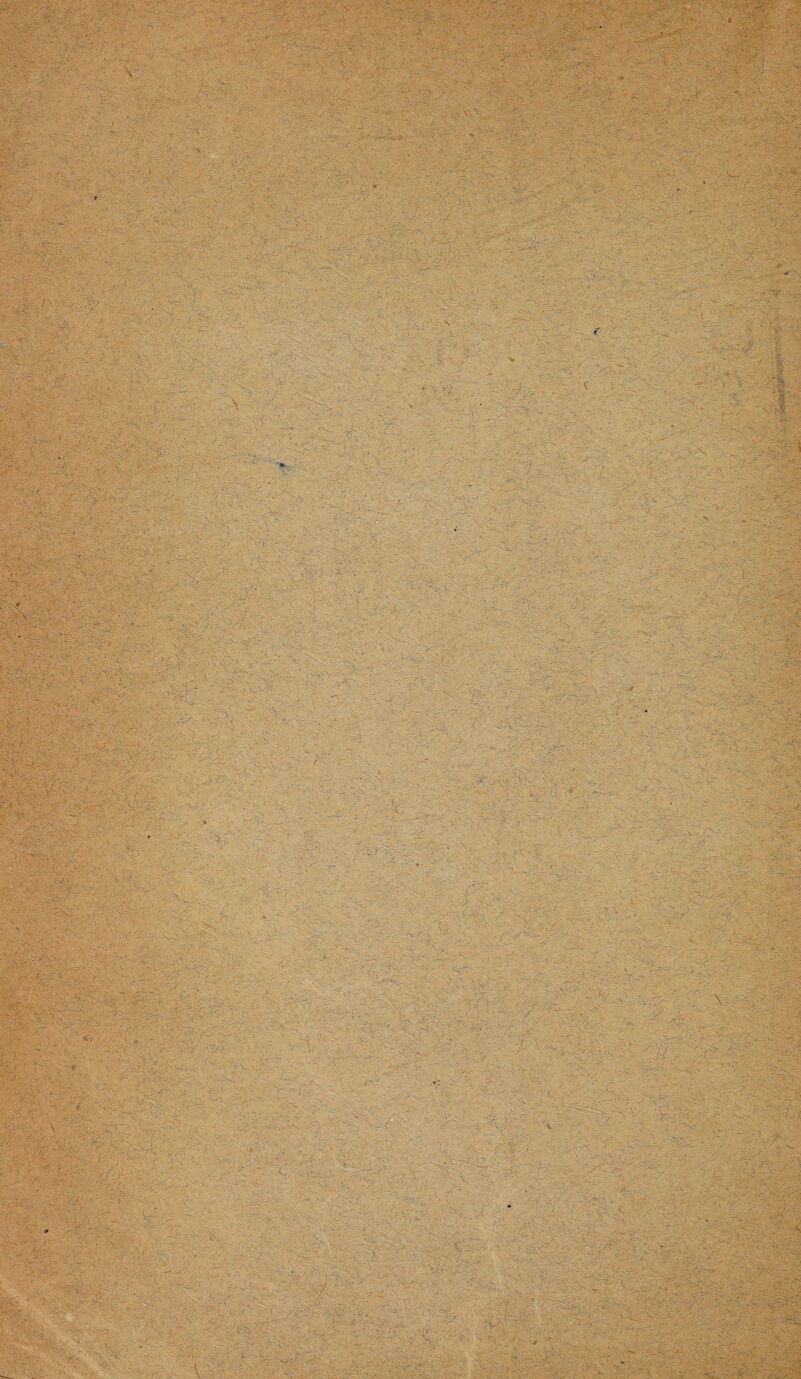 •• r . /■ • •• y vr r,^ ! '■*