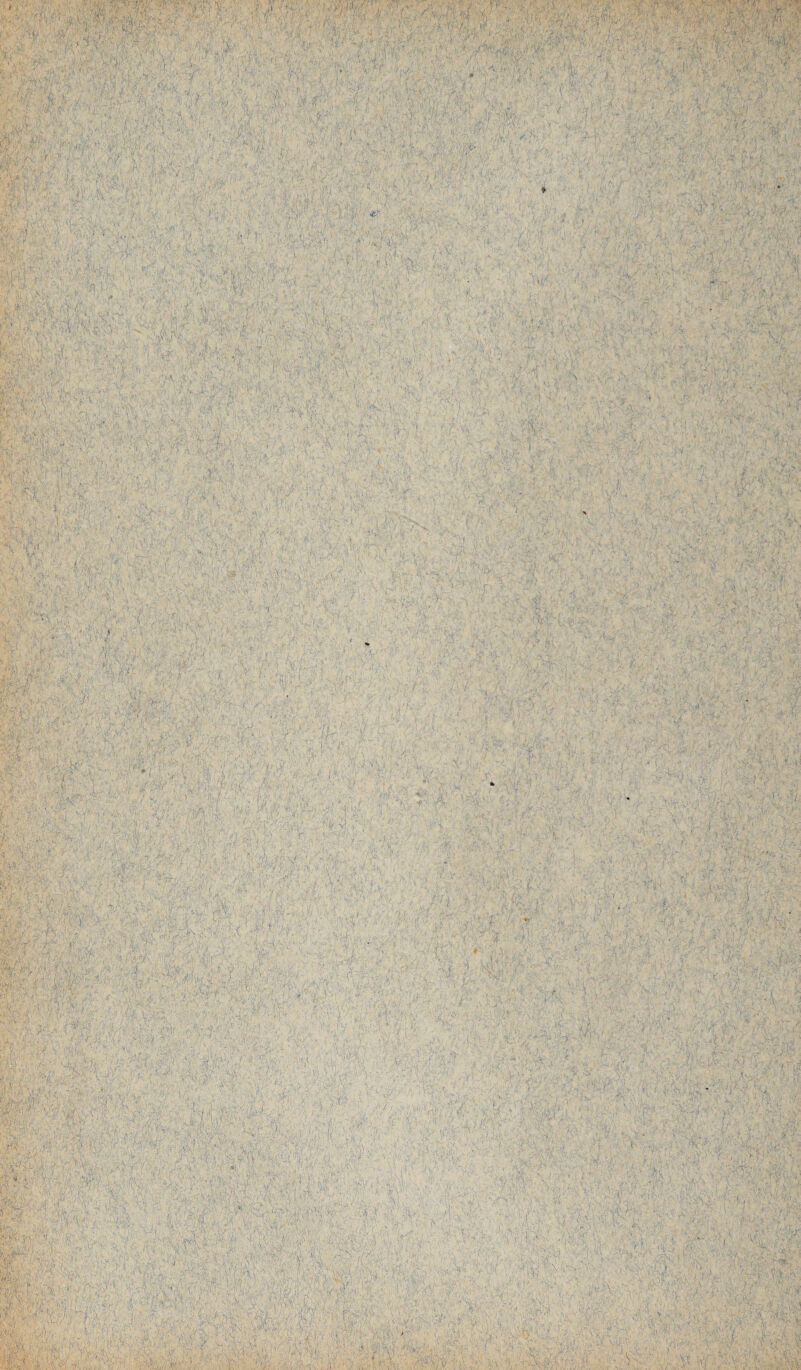 ■V. ' À i\ -, t :\ v