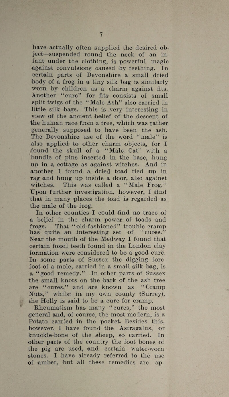 have actually often supplied the desired ob¬ ject—suspended round the neck of an in¬ fant under the clothing, is powerful magic against convulsions caused by teething. In certain parts of Devonshire a small dried body of a frog in a tiny silk bag is similarly worn by children as a charm against fits. Another “cure” for fits consists of small split twigs of the “Male Ash” also carried in little silk bags. This is very interesting in view of the ancient belief of the descent of the human race from a tree, which was rather generally supposed to have been the ash. The Devonshire use of the word “male” is also applied to other charm objects,, for I lound the skull of a “Male Cat” with a bundle of pins inserted in the base, hung up in a cottage as against witches. And in another I found a dried toad tied up in rag and hung up inside a door, also against witches. This was called a “Male Frog.” Upon further investigation, however, I find that in many places the toad is regarded as the male of the frog. In other counties I could find no trace of a belief in the charm power of toads and frogs. That “old-fashioned” trouble cramp has quite an interesting set of “cures.” Near the mouth of the Medwiay I found that certain fossil teeth found in the London clay formation were considered to be a good cure. In some parts of Sussex the digging fore¬ foot of a mole, carried in a small silk bag, is a “good remedy.” In other parts of Sussex the small knots on the bark of the ash tree are “cures,” and are known as “Cramp Nuts,” whilst in my own county '(Surrey), the Holly is said to be a cure for cramp. Kheumatism has many “cures,” the most general and, of course, the most modern,, is a Potato carried in the pocket. Besides this, however, I have found the Astragalus, or knuckle-bone of the .sheep, so carried. In other parts of the country the foot bones of the pig are used, and certain water-v/orn stones. I have already referred to the use of amber, but all these remedies are ap-