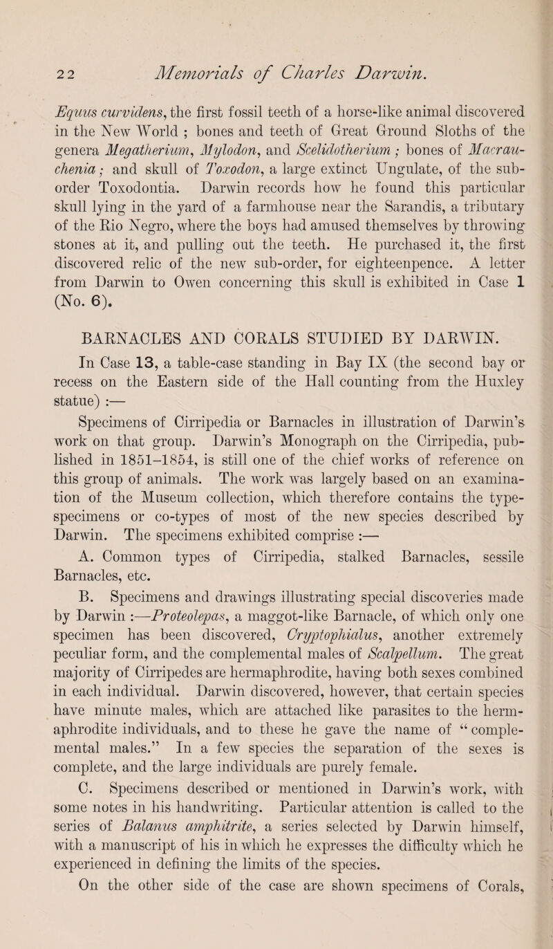 Eqims curvidens^ the first fossil teeth of a horse-like animal discovered in the New AVorld ; bones and teeth of Great Ground Sloths of the genera Megatherium^ Mylodon.^ and Scelidotherium; bones of Macrau- chenia; and skull of Toxodon^ a large extinct Ungulate, of the sub¬ order Toxodontia. Darwin records how he found this particular skull lying in the yard of a farmhouse near the Sarandis, a tributary of the Rio Negro, where the boys had amused themselves by throwing stones at it, and pulling out the teeth. He purchased it, the first discovered relic of the new sub-order, for eighteenpence. A letter from Darwin to Owen concerning this skull is exhibited in Case 1 (No. 6). BARNACLES AND CORALS STUDIED BY DARWIN. In Case 13, a table-case standing in Bay IX (the second bay or recess on the Eastern side of the Hall counting from the Huxley statue) :— Specimens of Cirripedia or Barnacles in illustration of Darwin’s work on that group. Darwin’s Monograph on the Cirripedia, pub¬ lished in 1851-1854, is still one of the chief works of reference on this group of animals. The work was largely based on an examina¬ tion of the Museum collection, which therefore contains the type- specimens or co-types of most of the new species described by Darwin. The specimens exhibited comprise :— A. Common types of Cirripedia, stalked Barnacles, sessile Barnacles, etc. B. Specimens and drawings illustrating special discoveries made by Darwin :—Proteolepas^ a maggot-like Barnacle, of which only one specimen has been discovered, Cryptophialus^ another extremely peculiar form, and the complemental males of Scalpellum. The great majority of Cirripedes are hermaphrodite, having both sexes combined in each individual. Darwin discovered, however, that certain species have minute males, which are attached like parasites to the herm¬ aphrodite individuals, and to these he gave the name of “ comple¬ mental males.” In a few species the separation of the sexes is complete, and the large individuals are purely female. C. Specimens described or mentioned in Darwin’s work, with some notes in his handwriting. Particular attention is called to the series of Balanus amphitritey a series selected by Darwin himself, with a manuscript of his in which he expresses the difficulty which he experienced in defining the limits of the species. On the other side of the case are shown specimens of Corals,